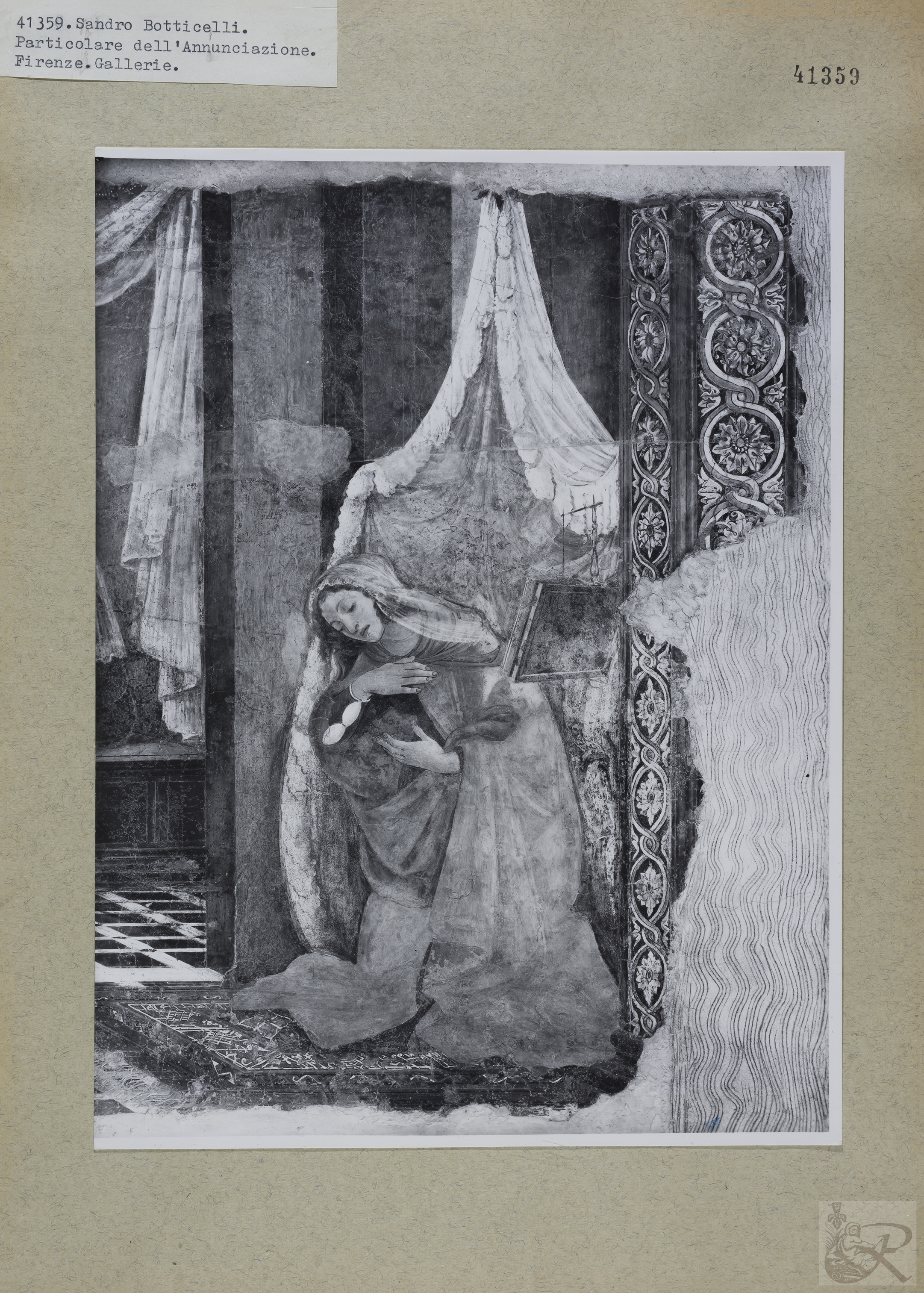 Immagine di anteprima