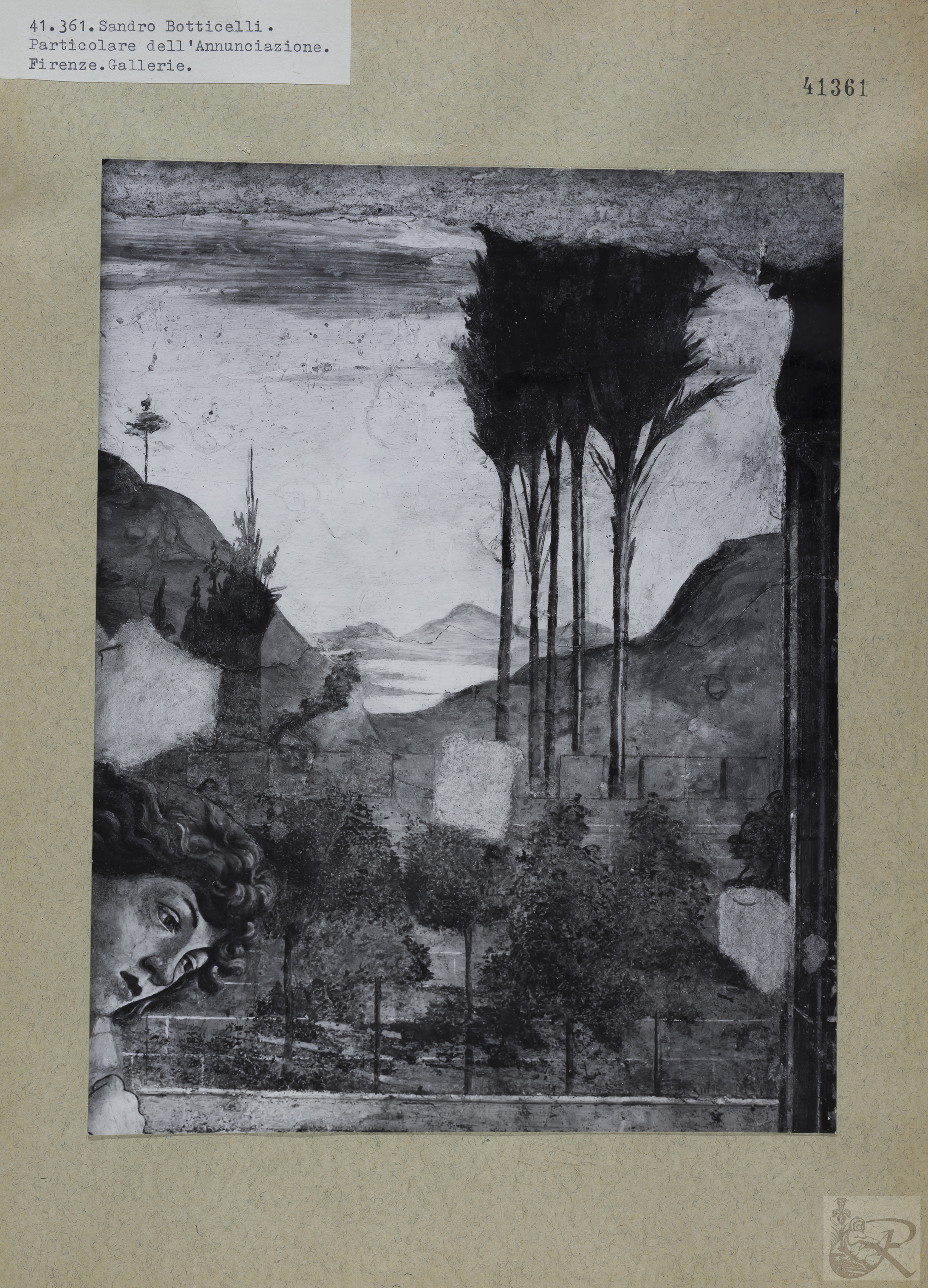 Immagine di anteprima