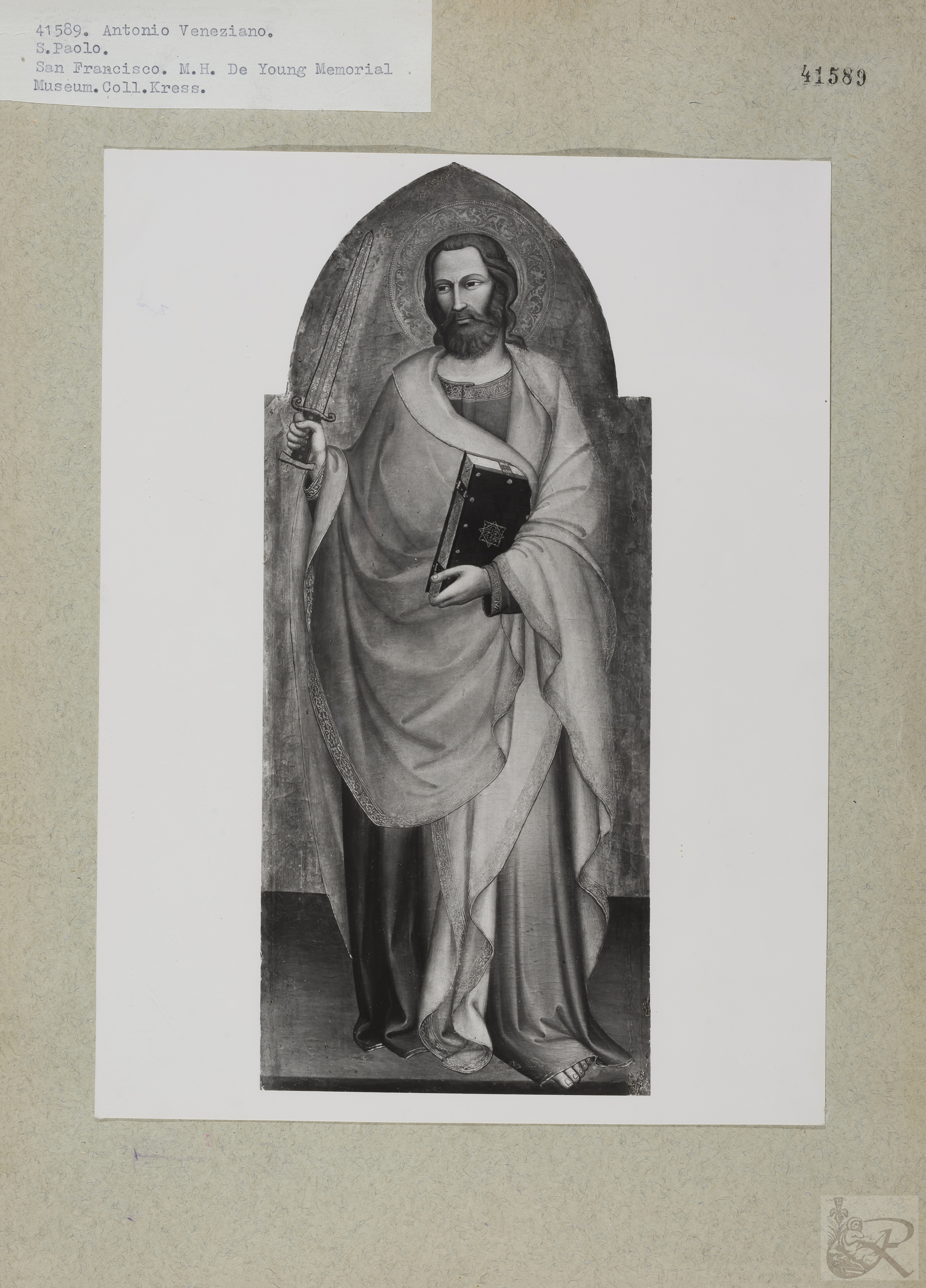 Immagine di anteprima