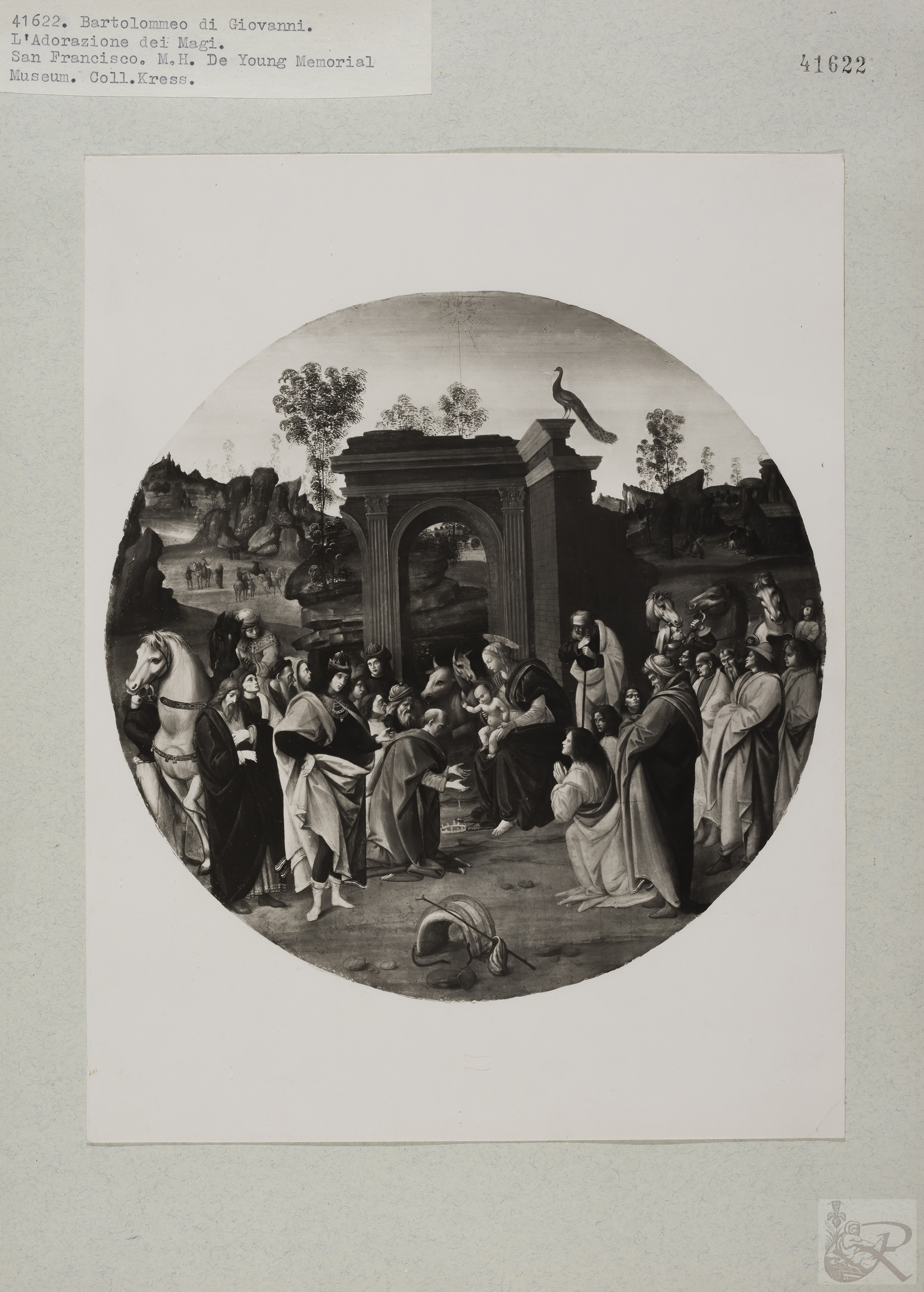 Immagine di anteprima