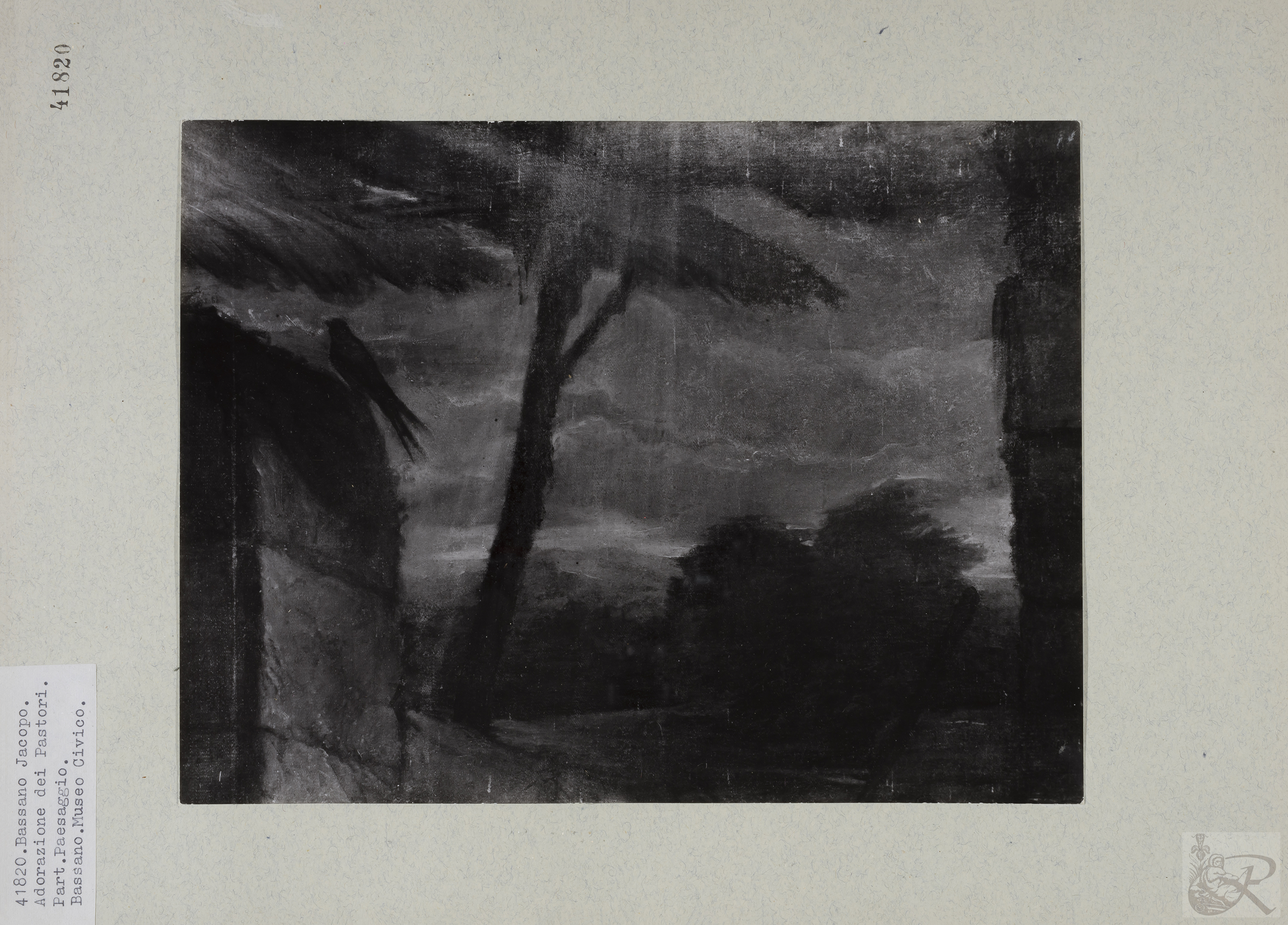 Immagine di anteprima