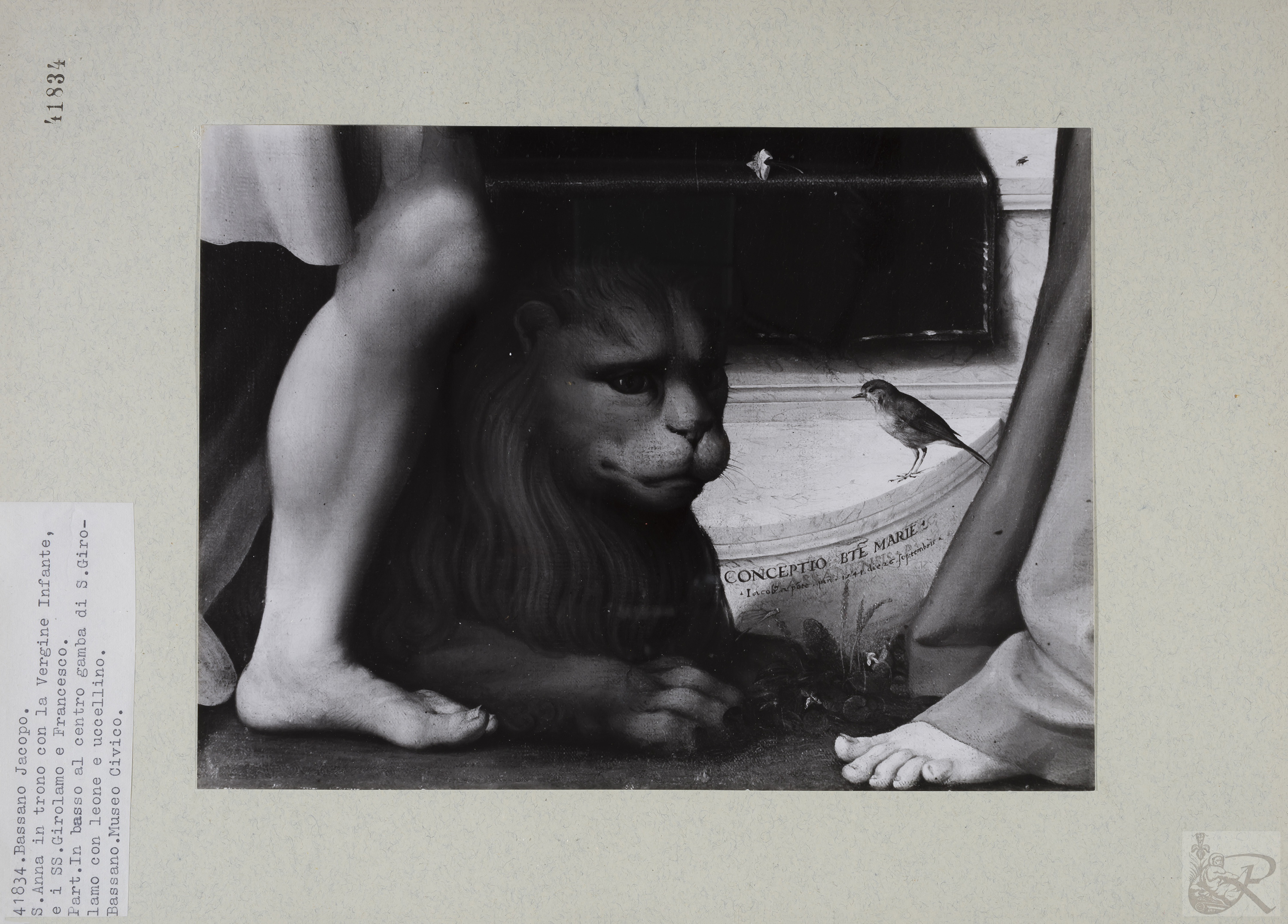 Immagine di anteprima