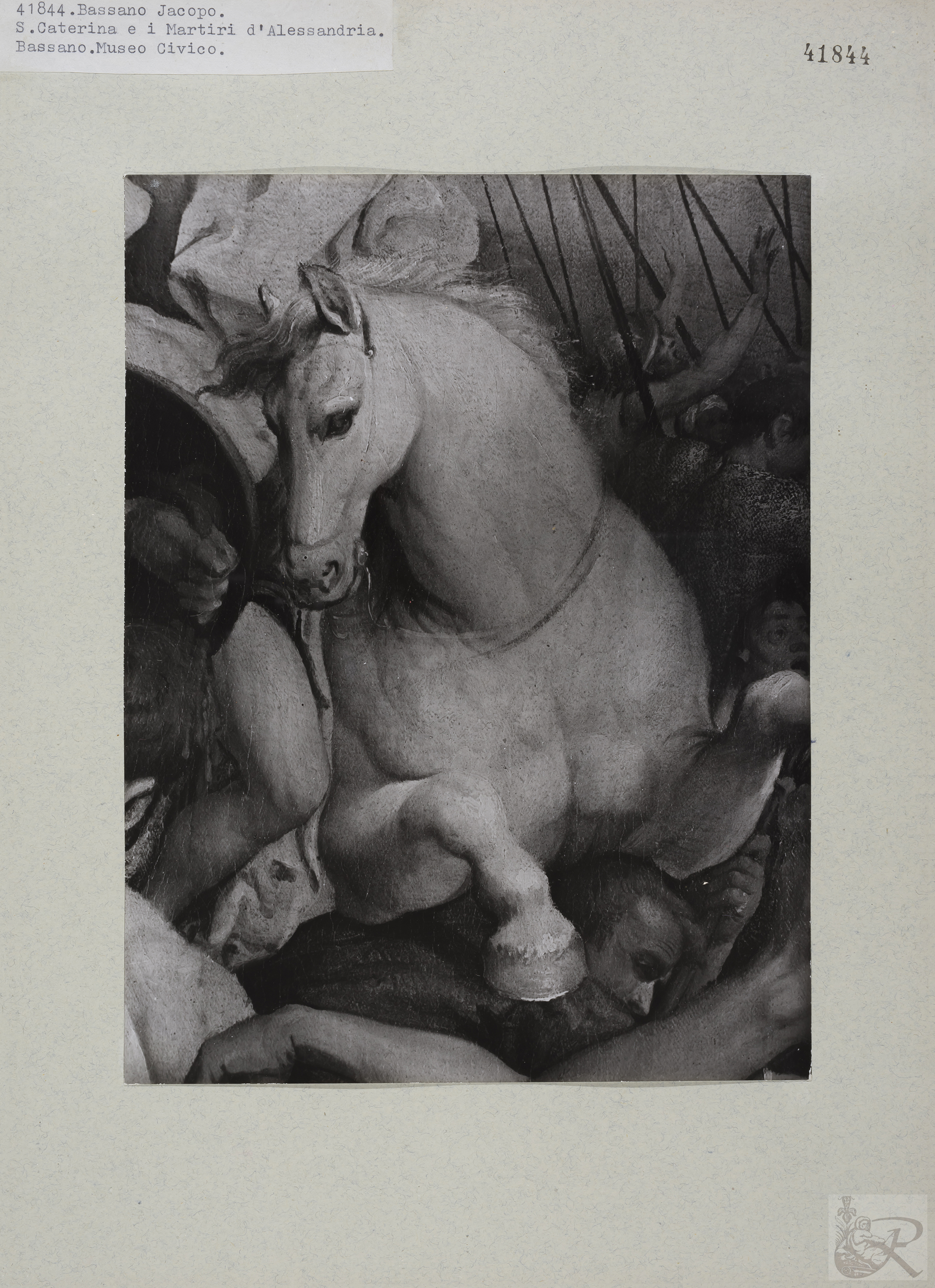 Immagine di anteprima