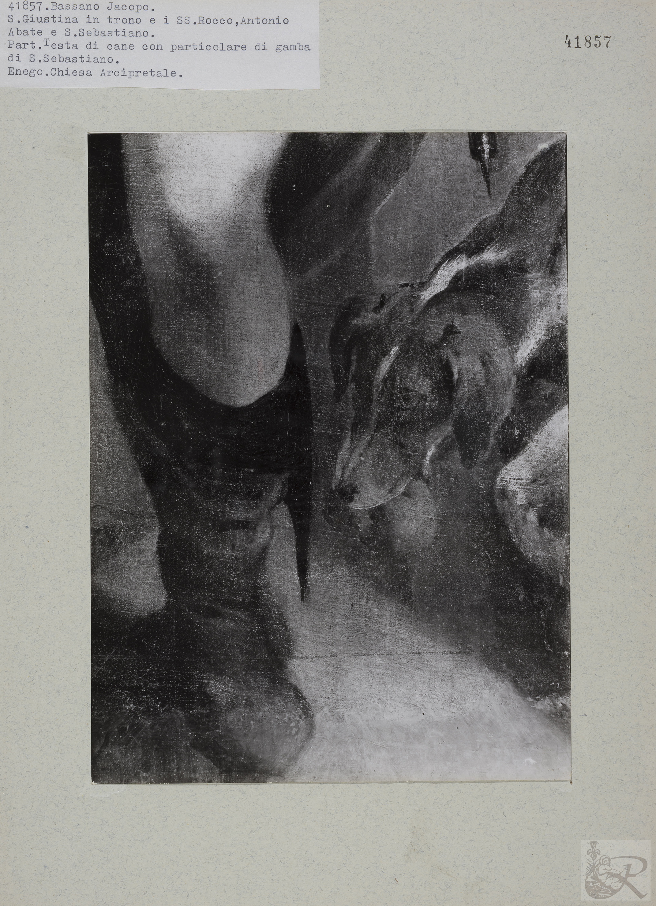 Immagine di anteprima