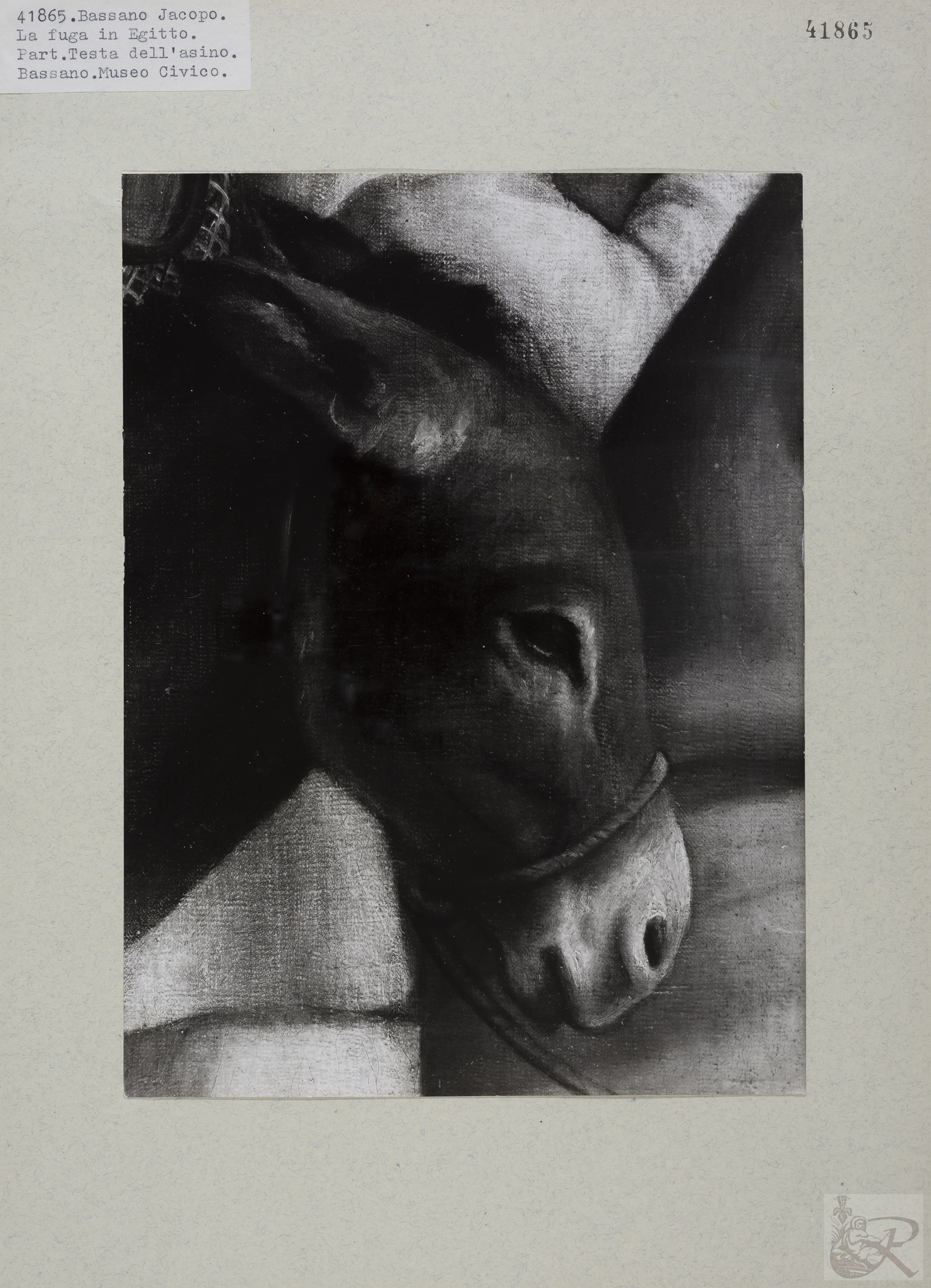 Immagine di anteprima