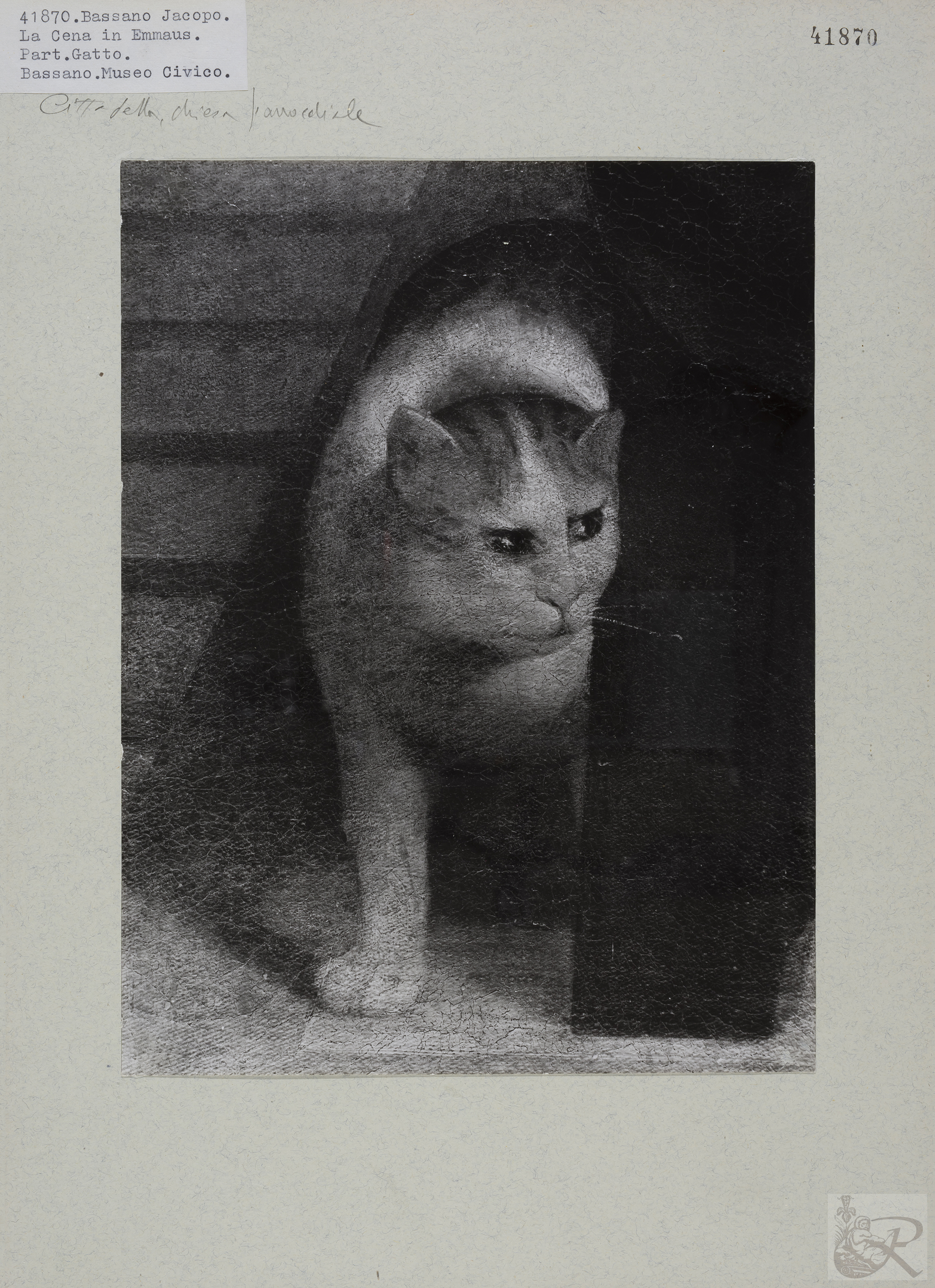 Immagine di anteprima