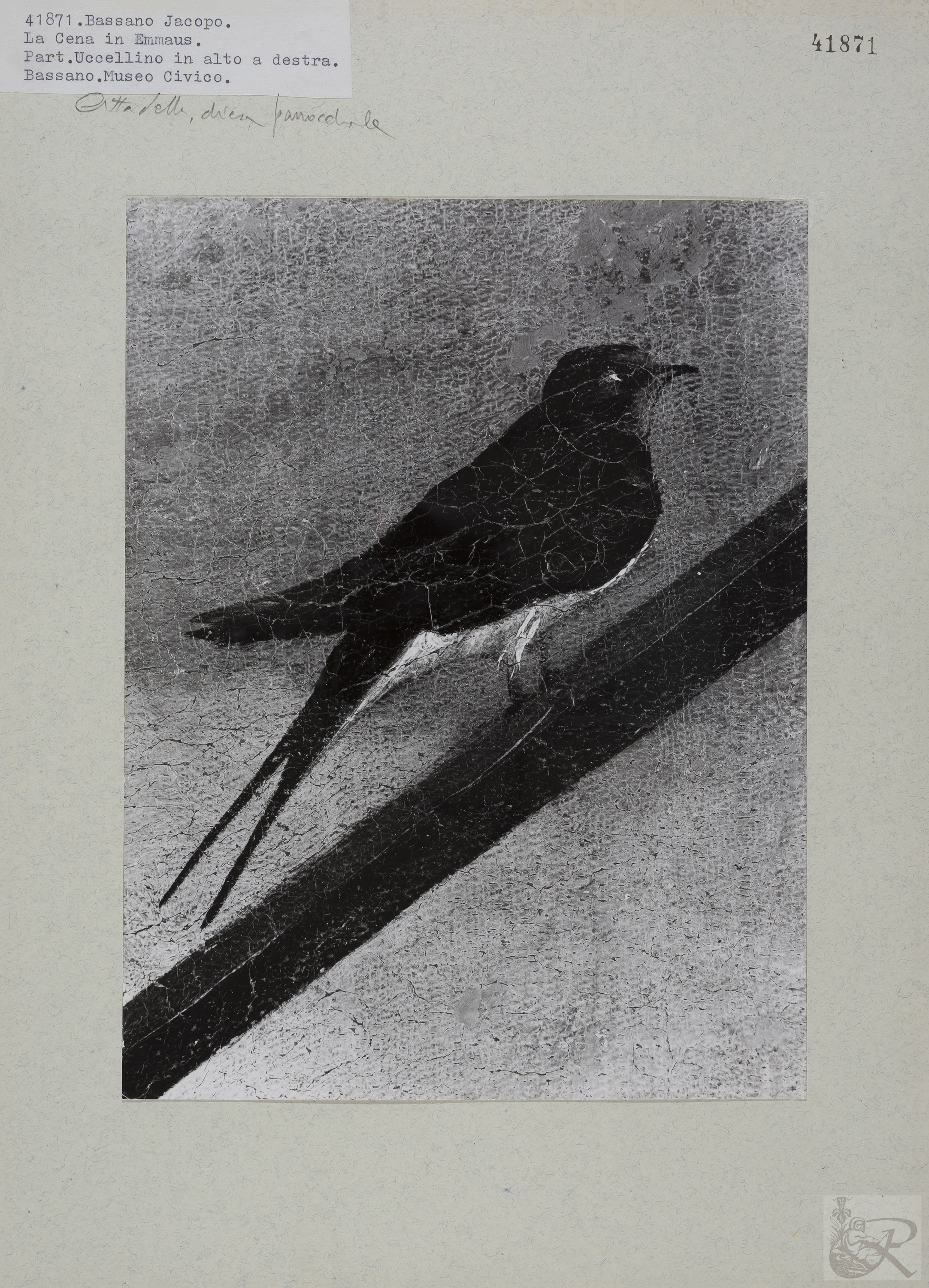 Immagine di anteprima