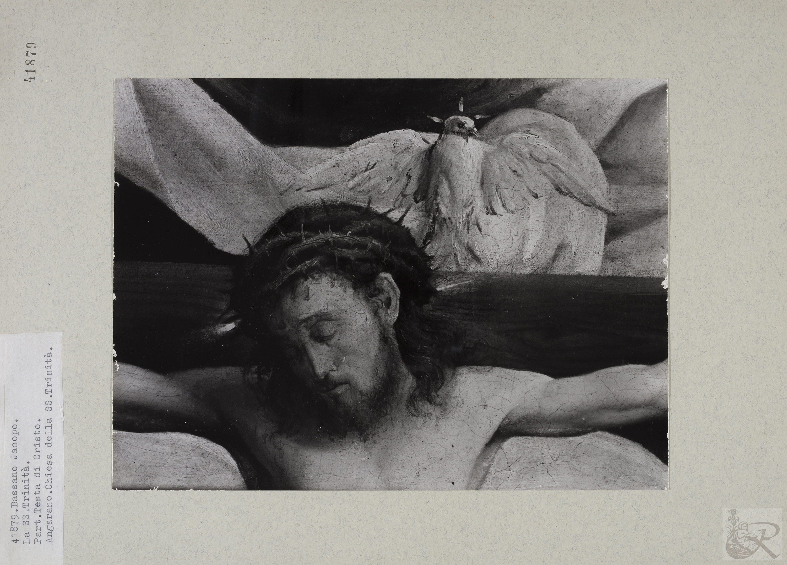 Immagine di anteprima