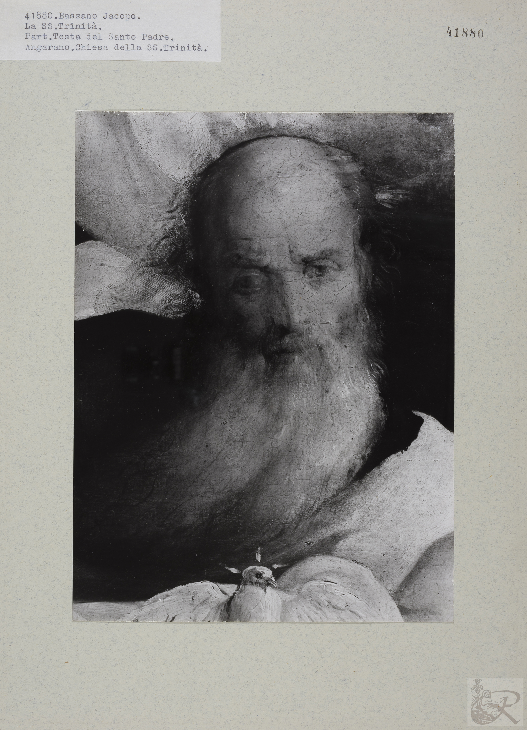 Immagine di anteprima