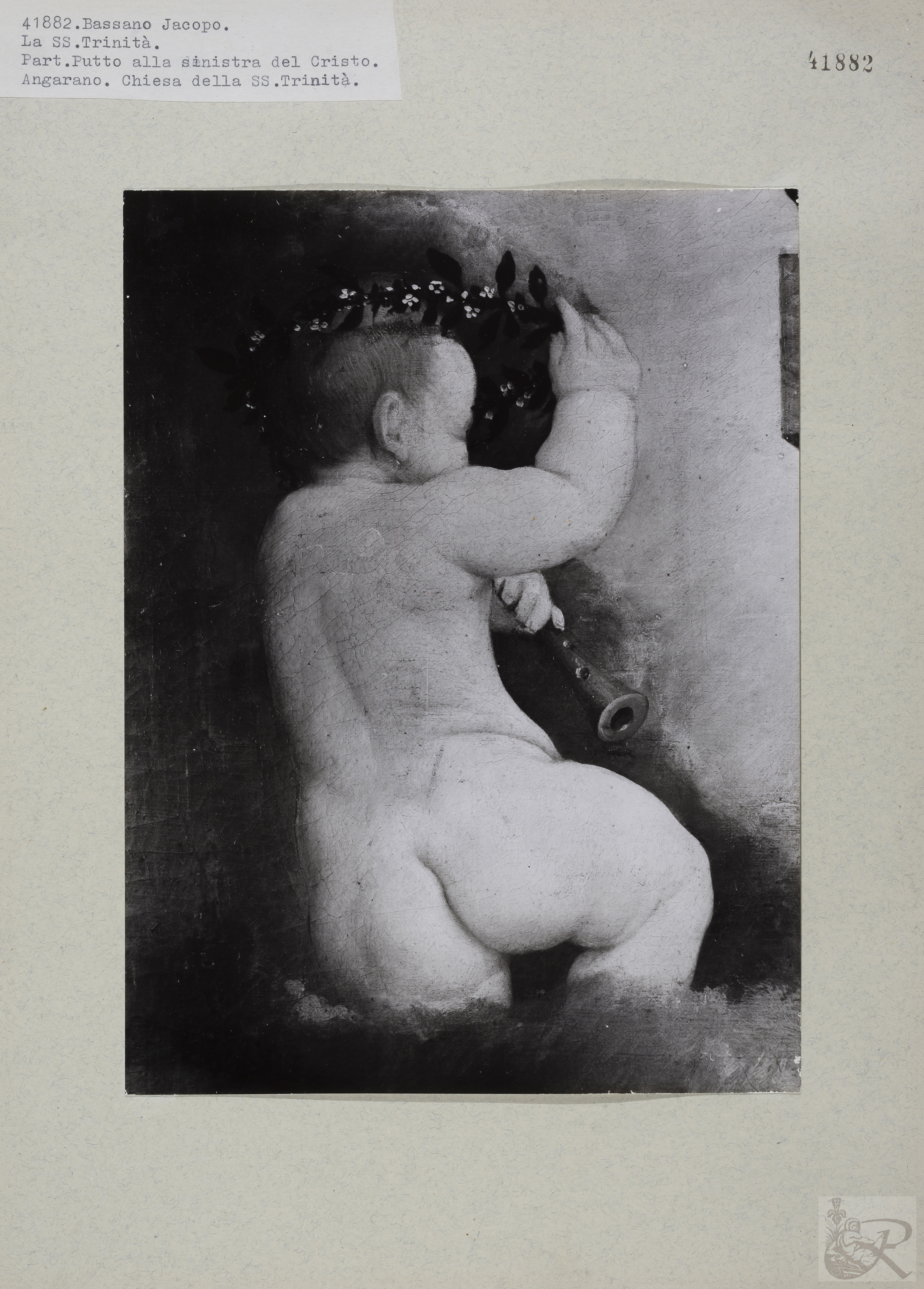 Immagine di anteprima