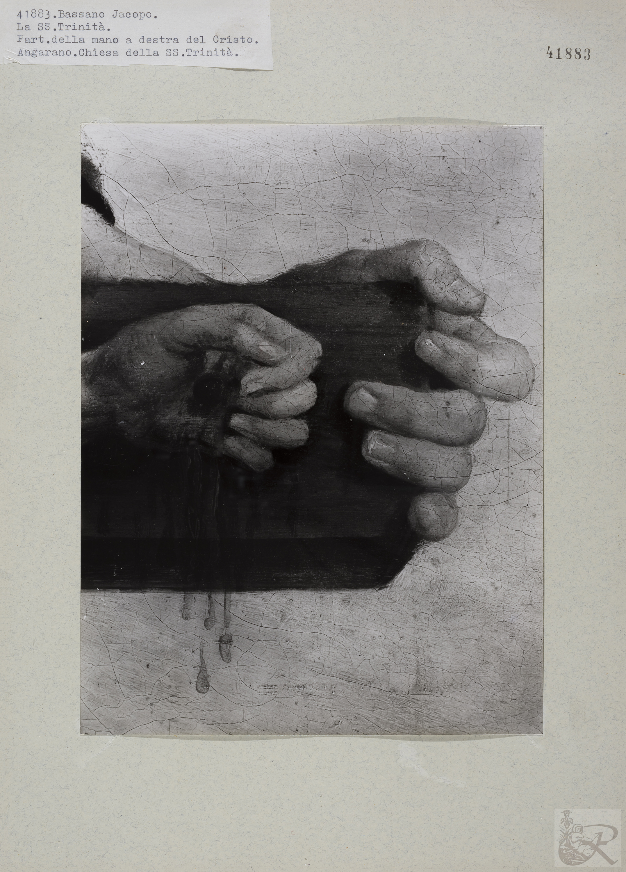 Immagine di anteprima