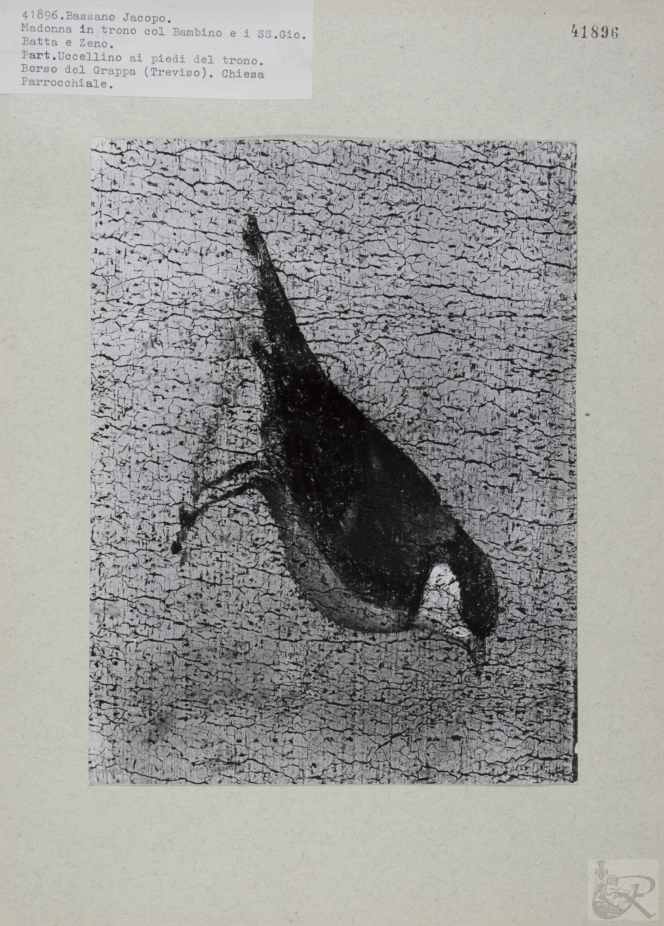 Immagine di anteprima