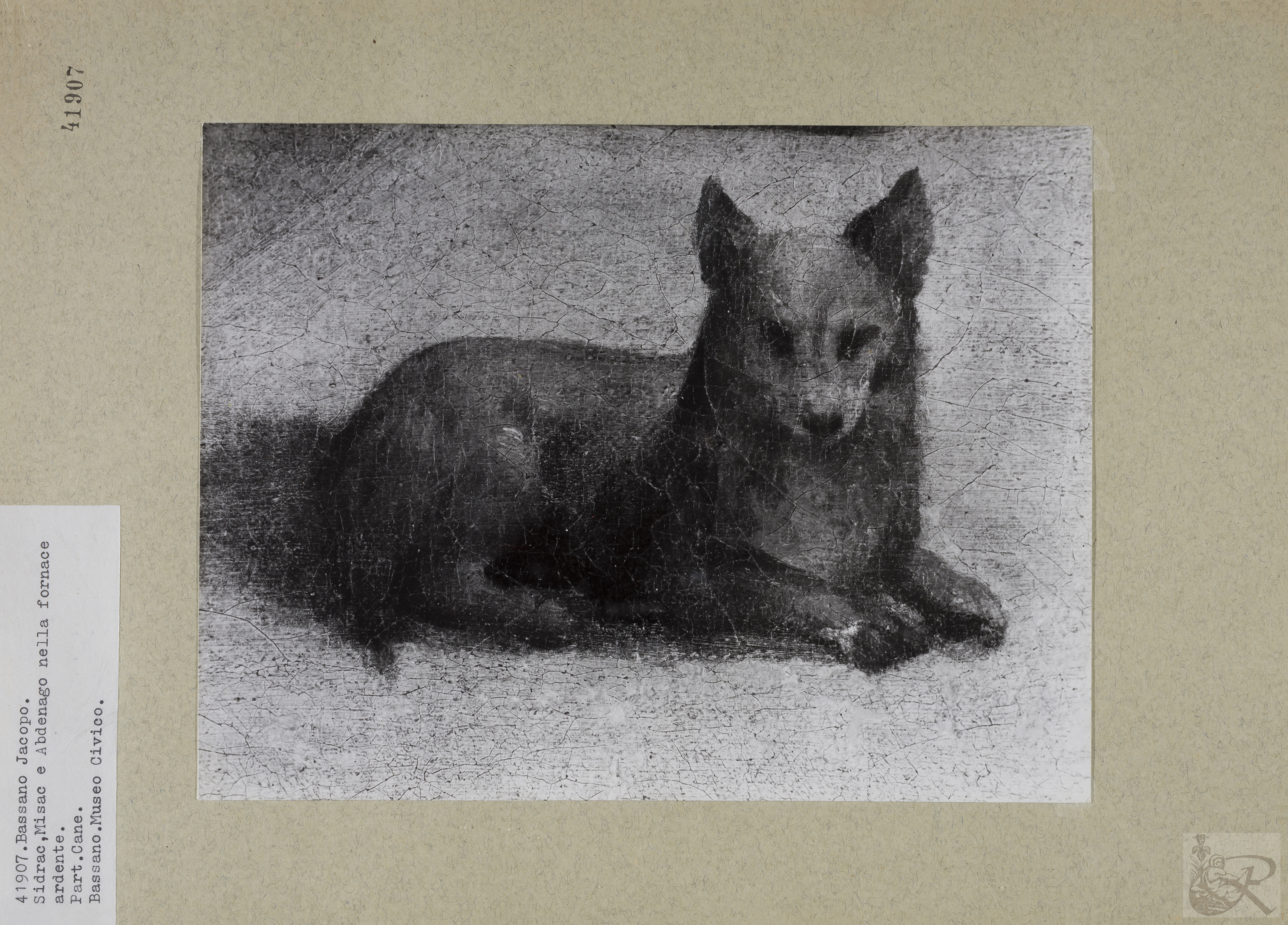 Immagine di anteprima