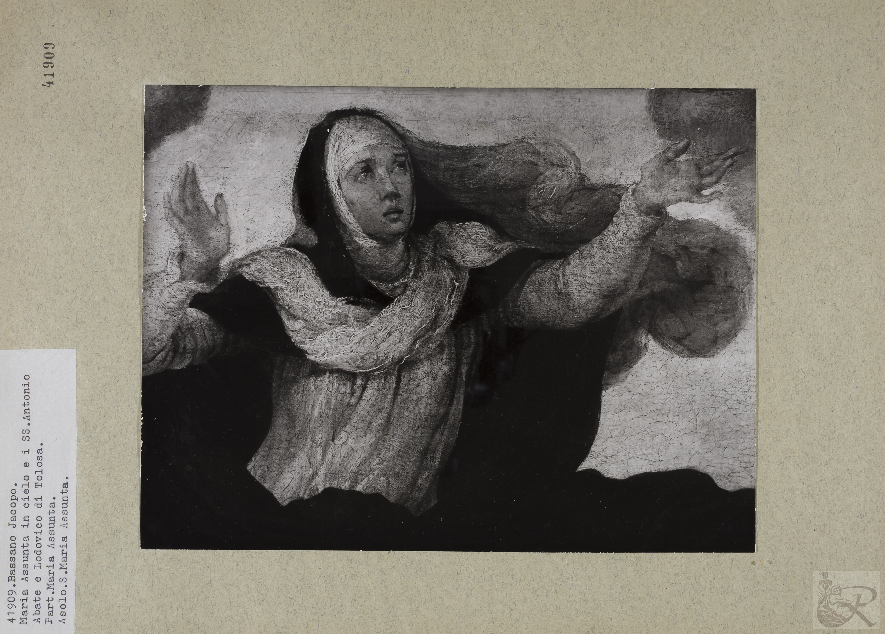 Immagine di anteprima