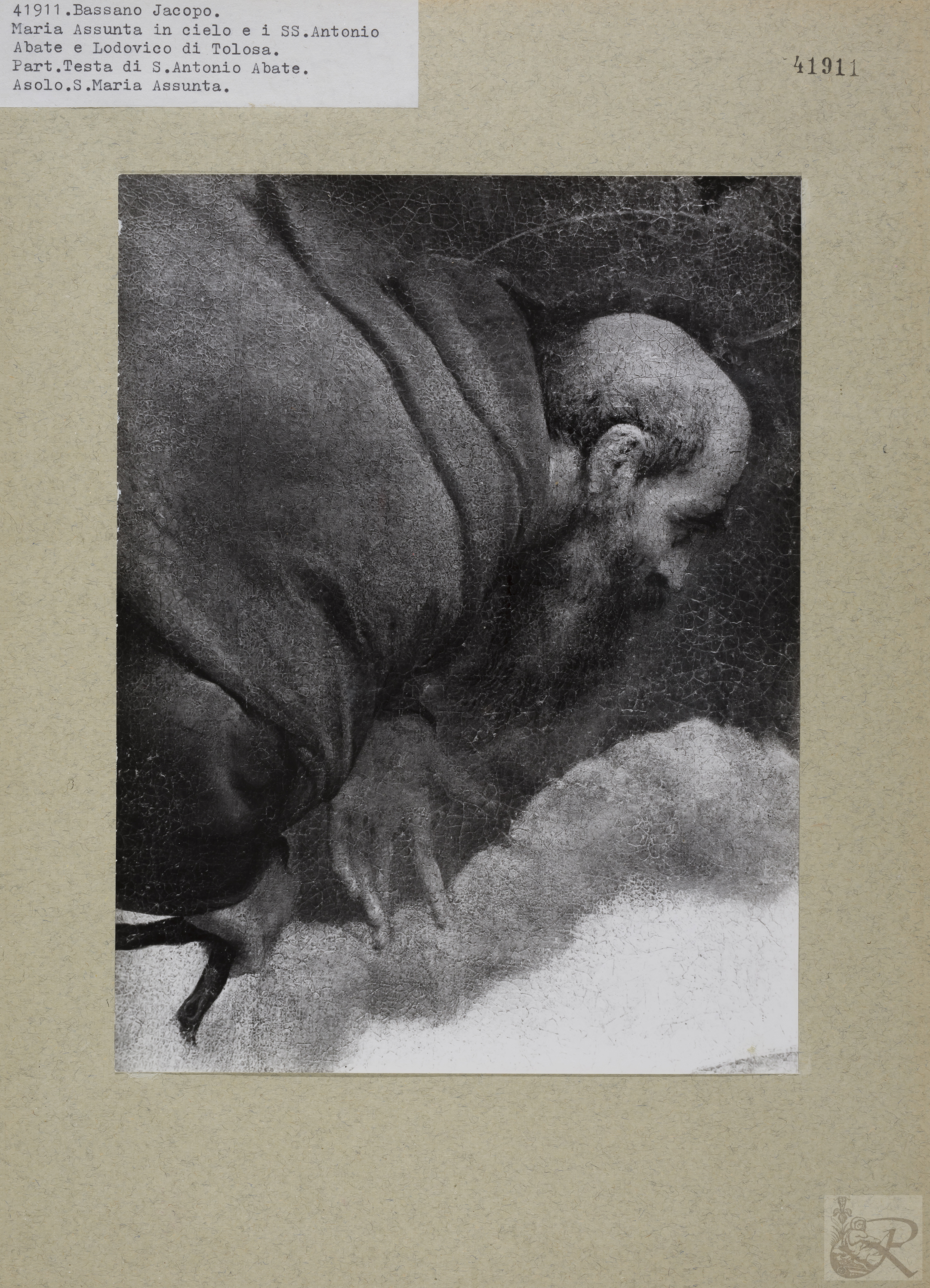 Immagine di anteprima