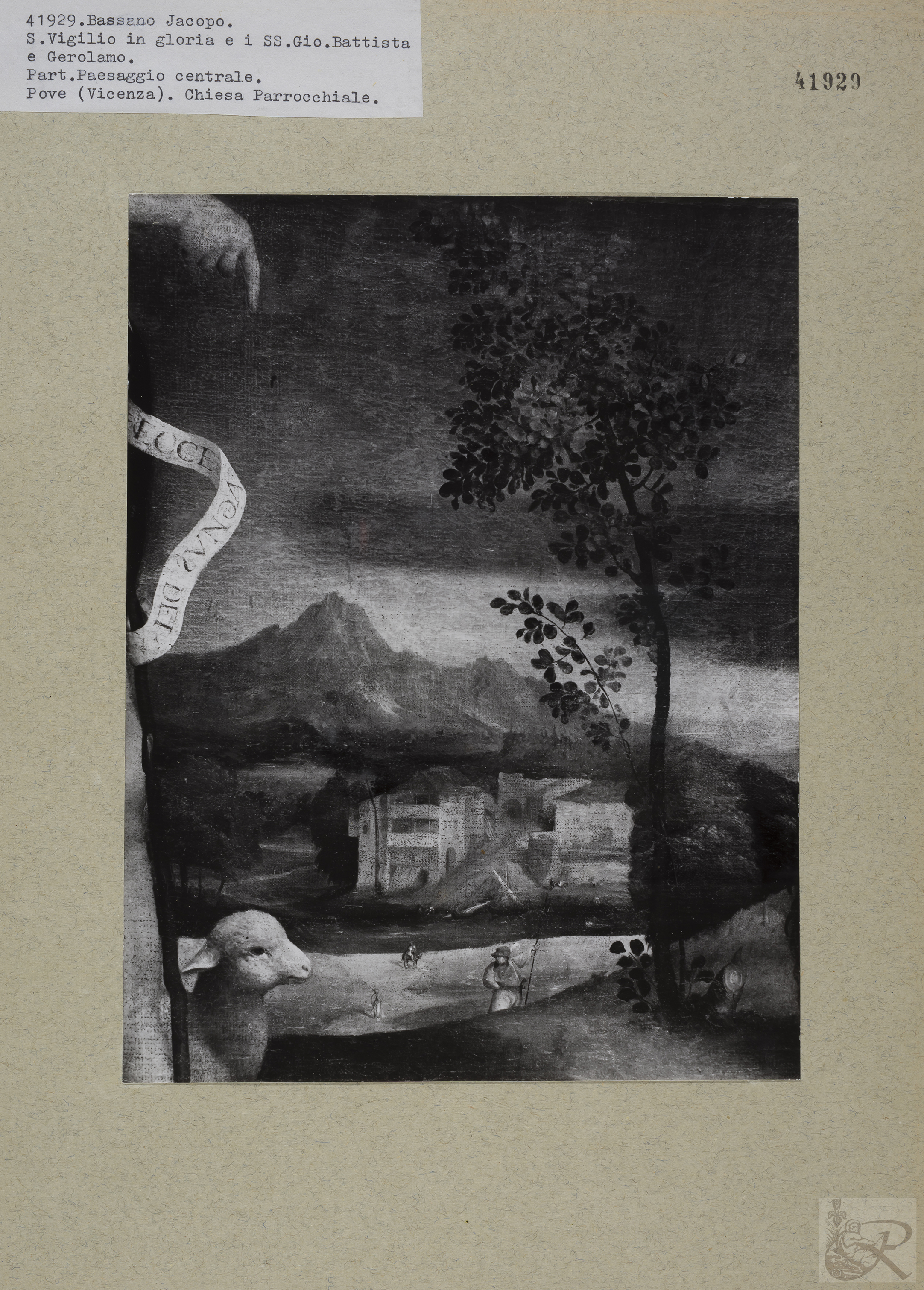 Immagine di anteprima