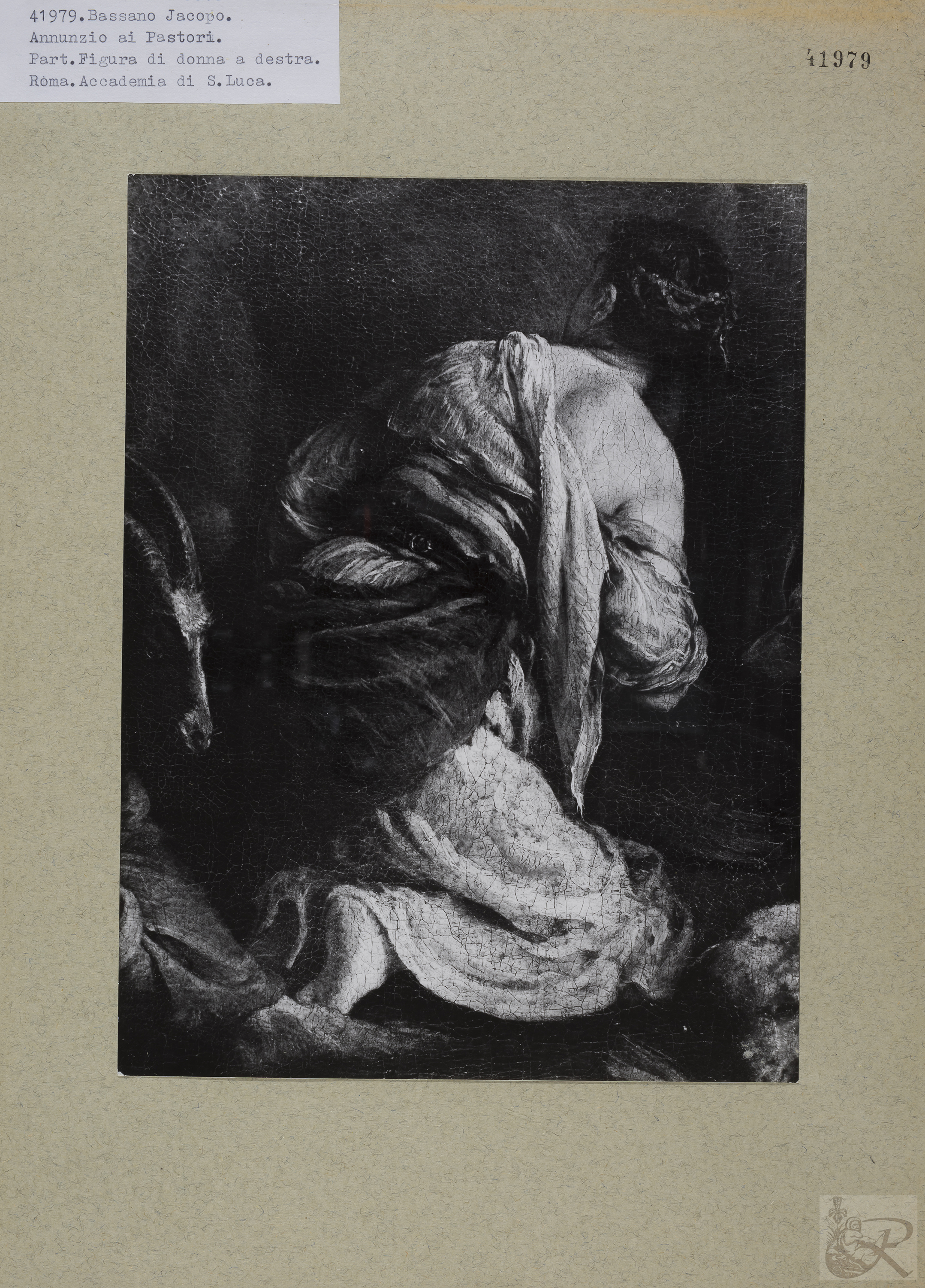 Immagine di anteprima