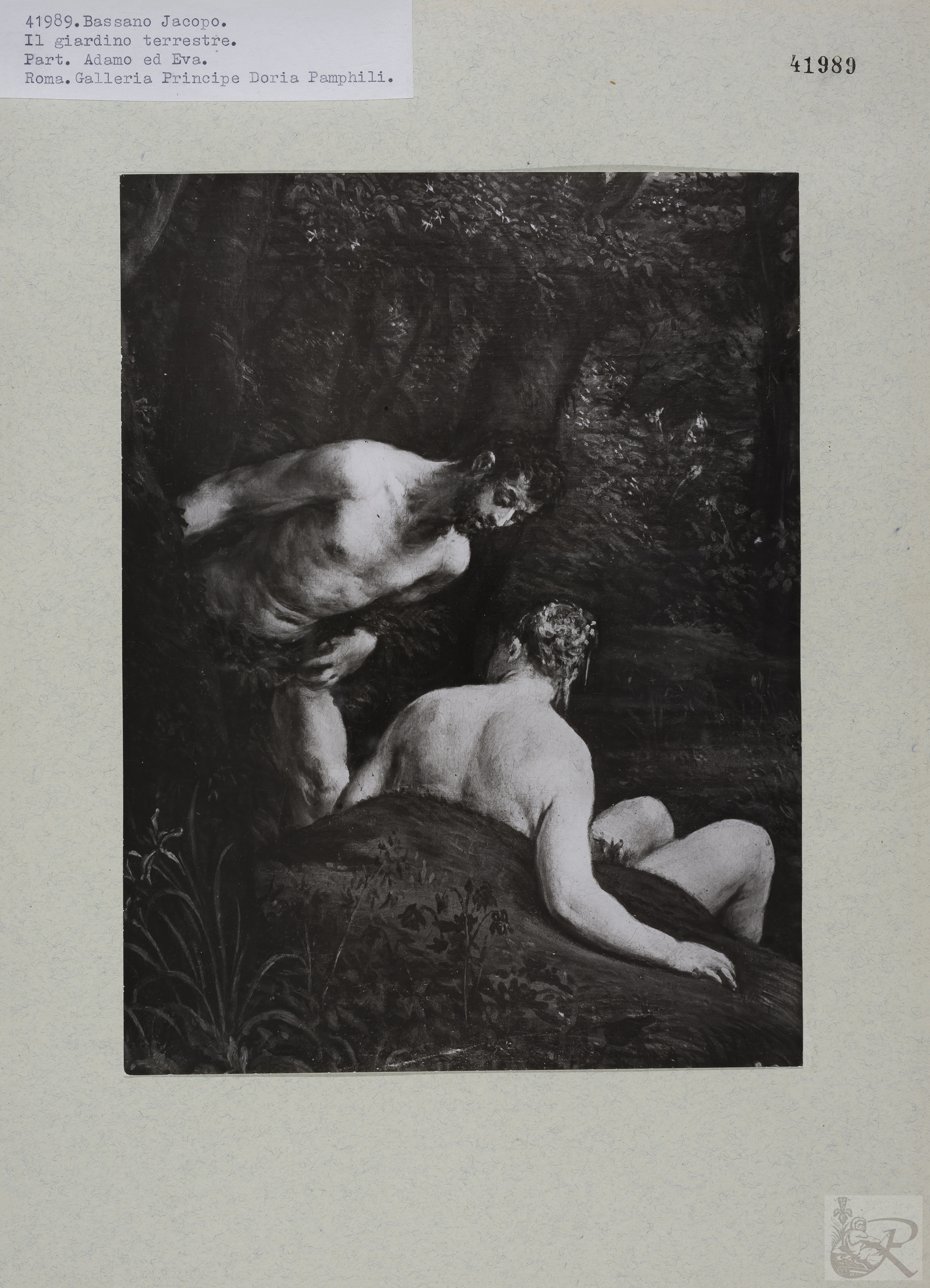 Immagine di anteprima