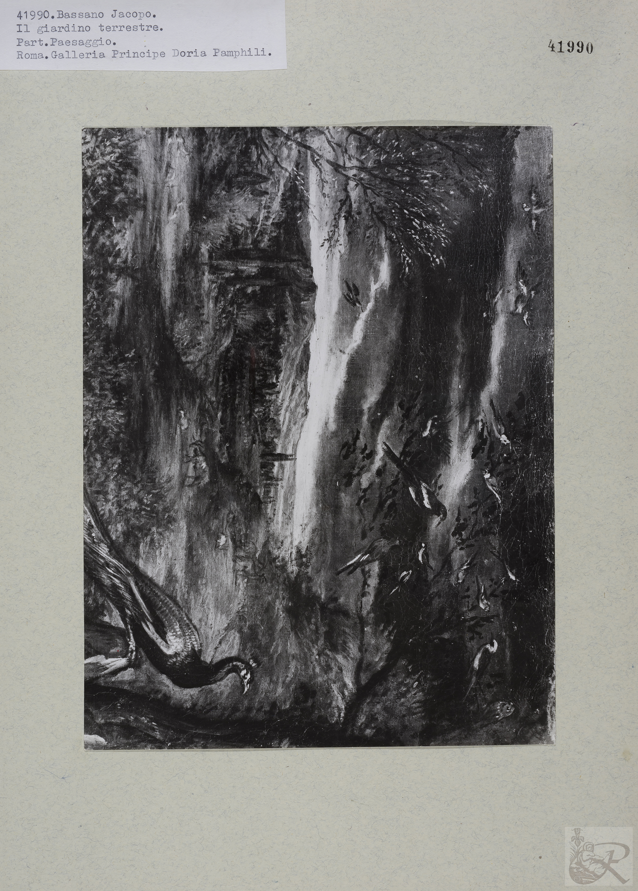 Immagine di anteprima