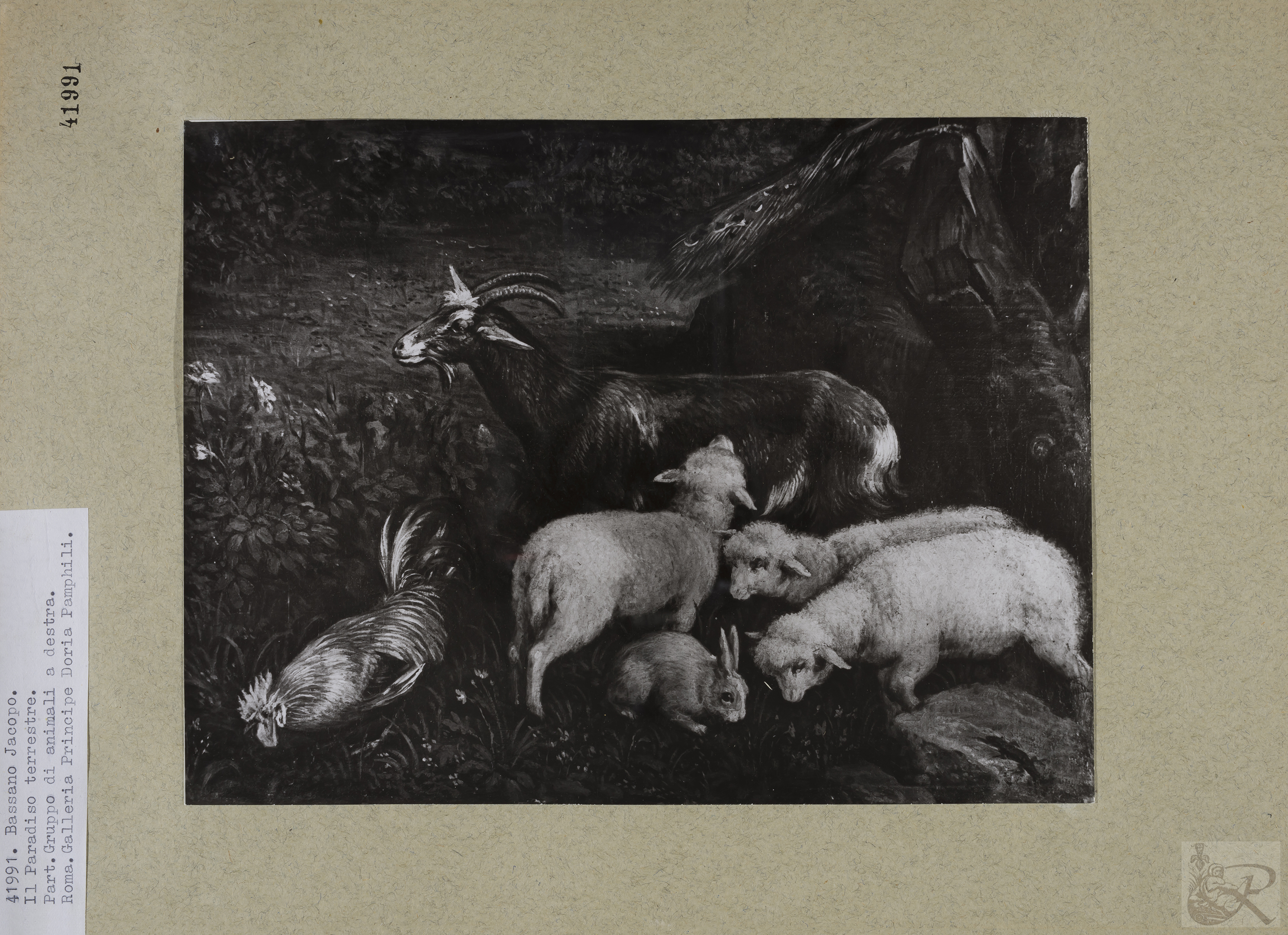 Immagine di anteprima