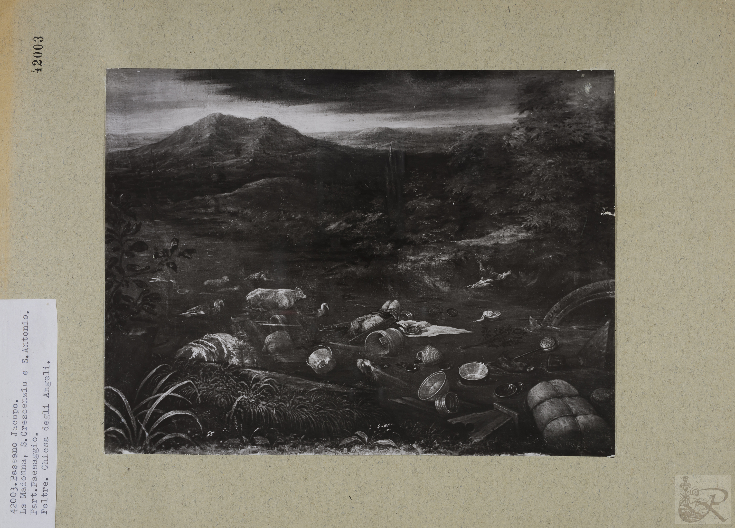 Immagine di anteprima