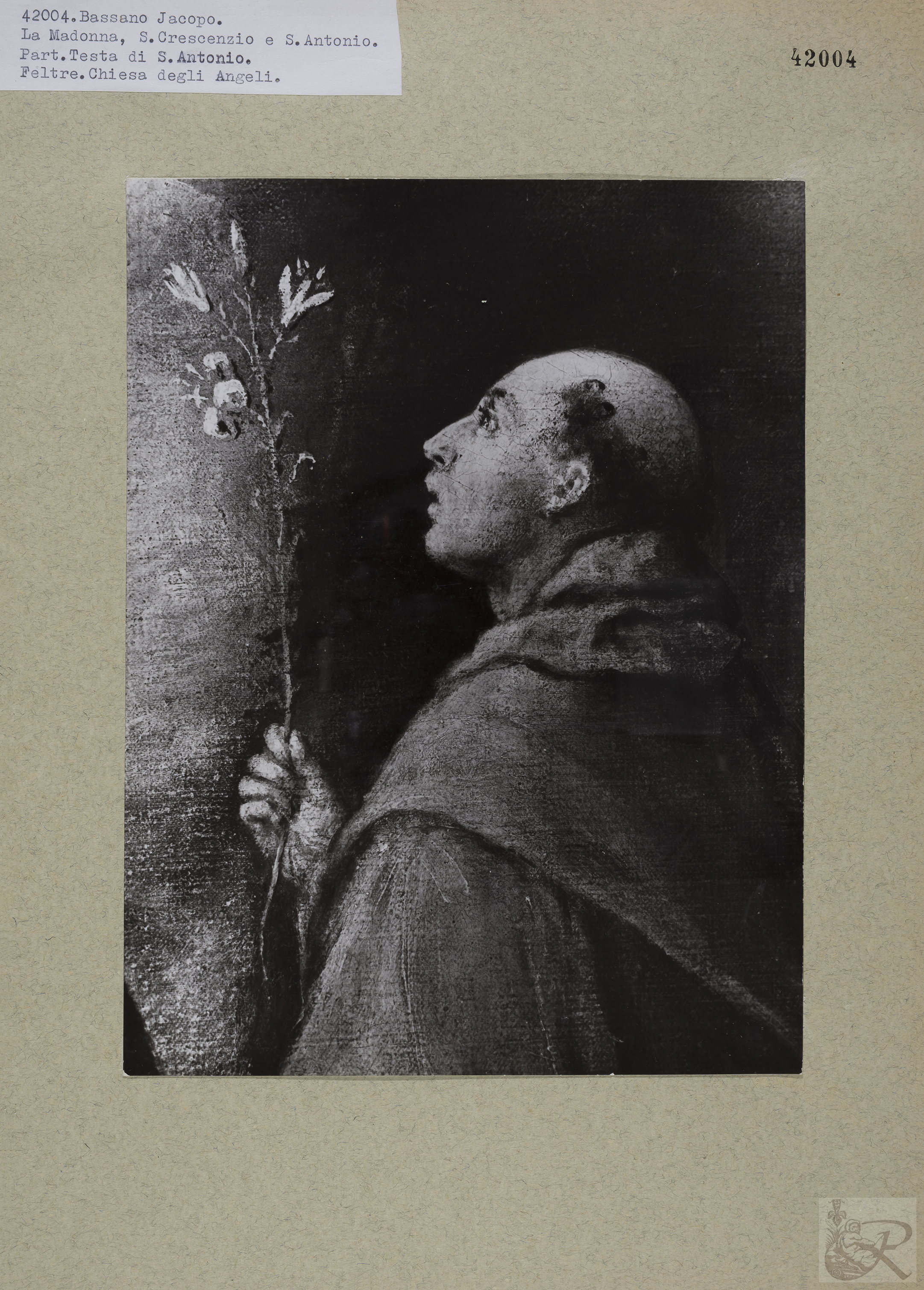 Immagine di anteprima