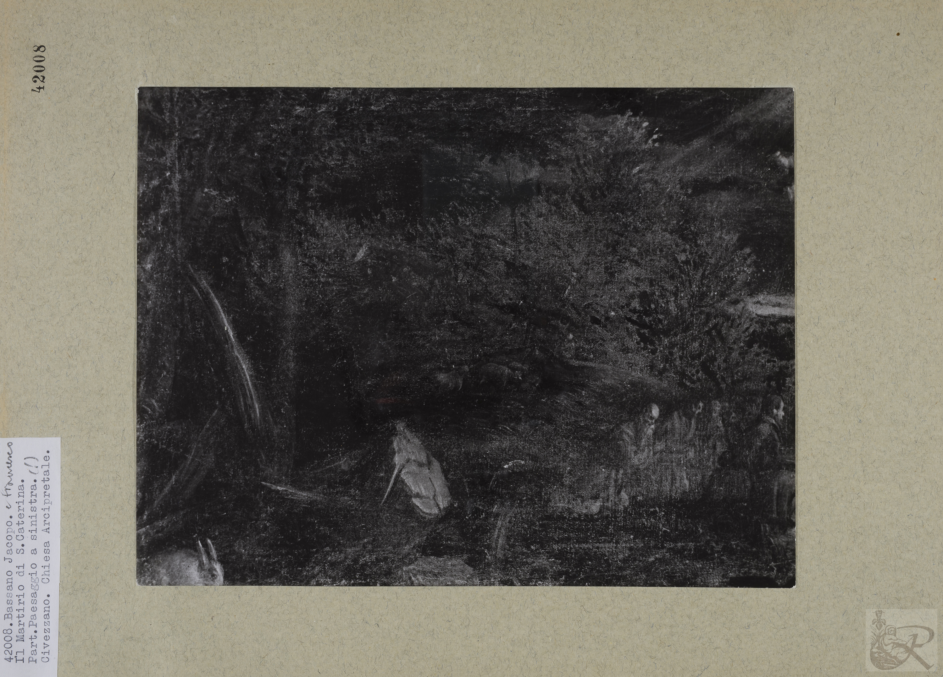 Immagine di anteprima