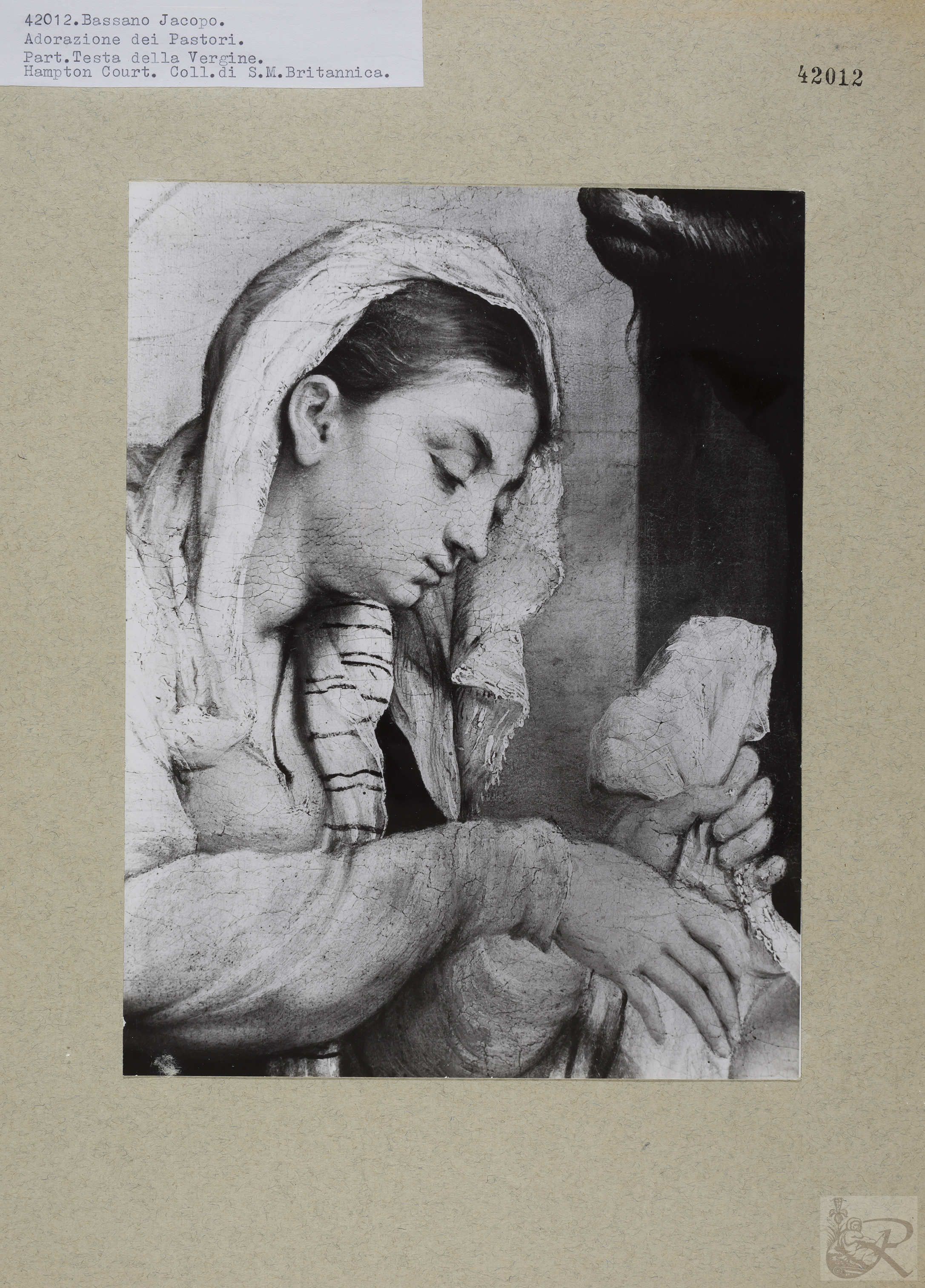 Immagine di anteprima