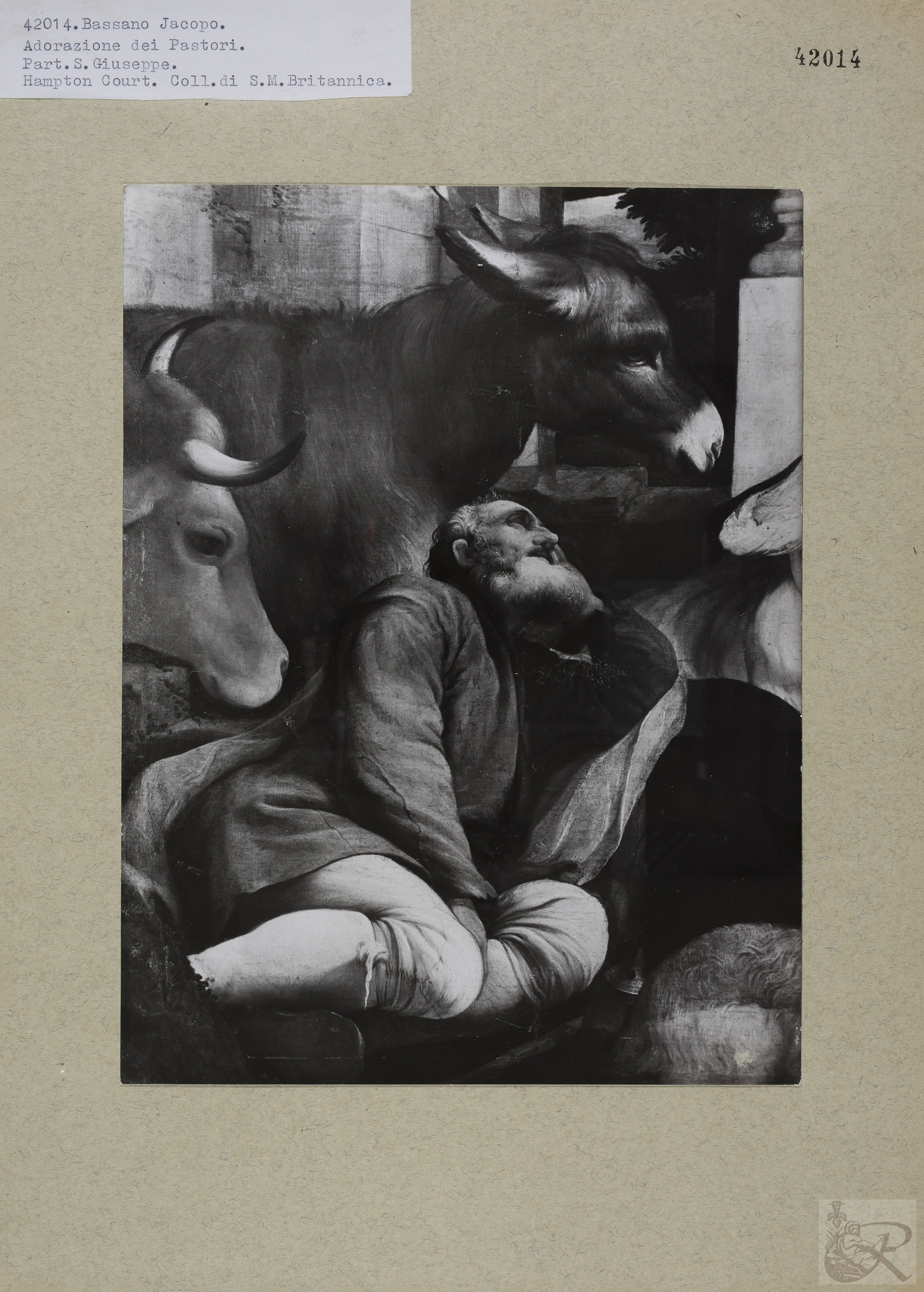 Immagine di anteprima