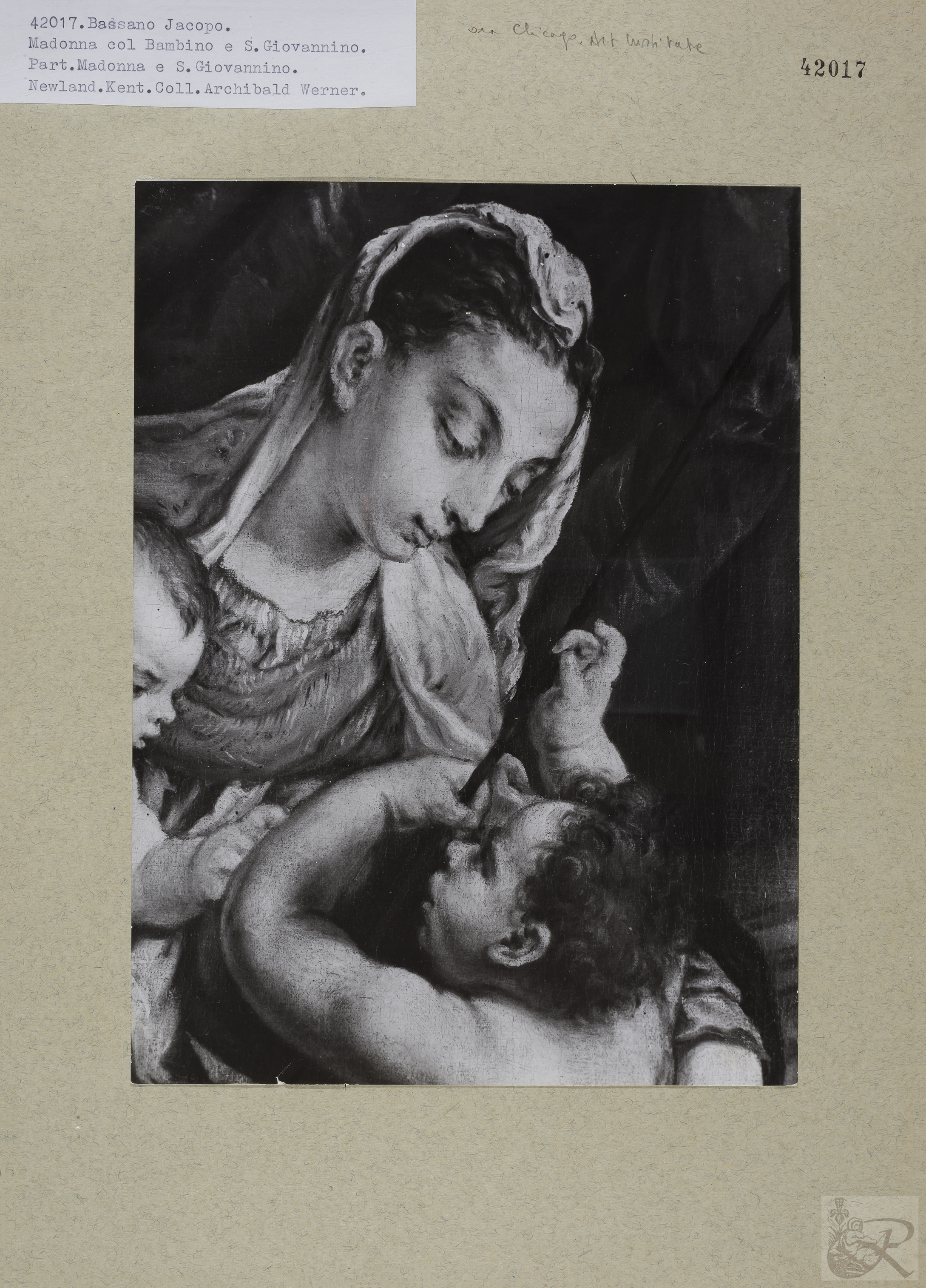 Immagine di anteprima