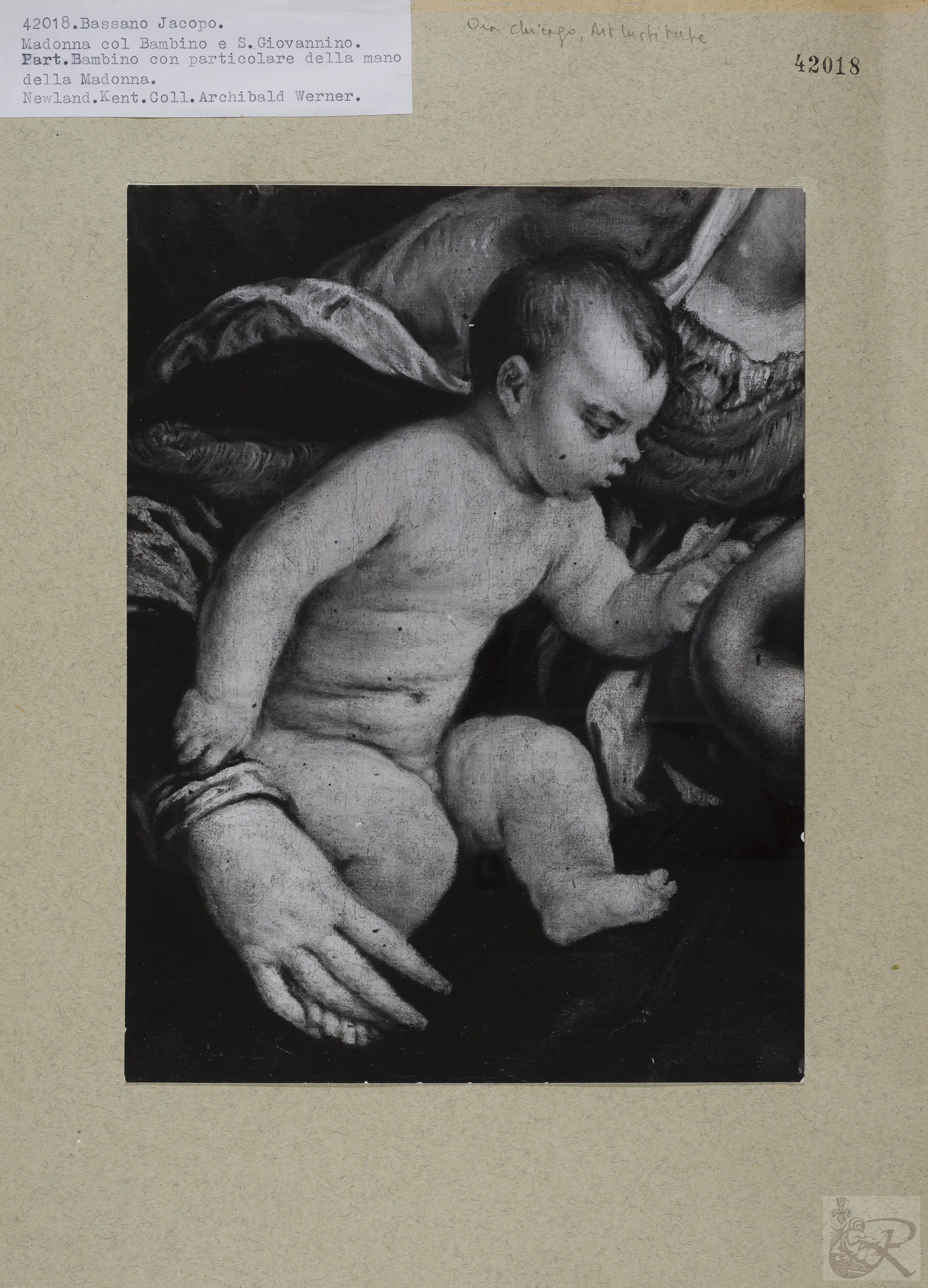 Immagine di anteprima