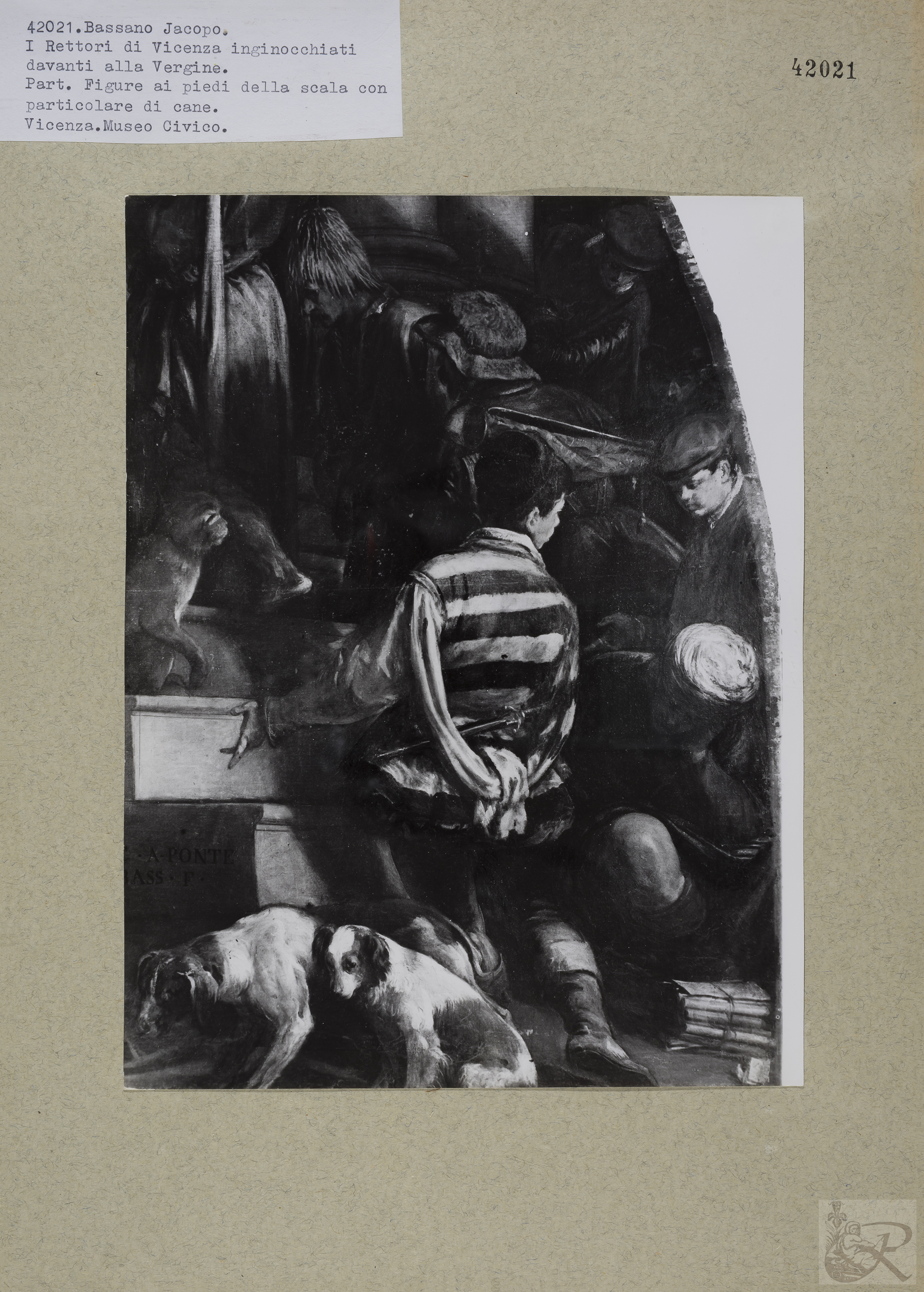 Immagine di anteprima