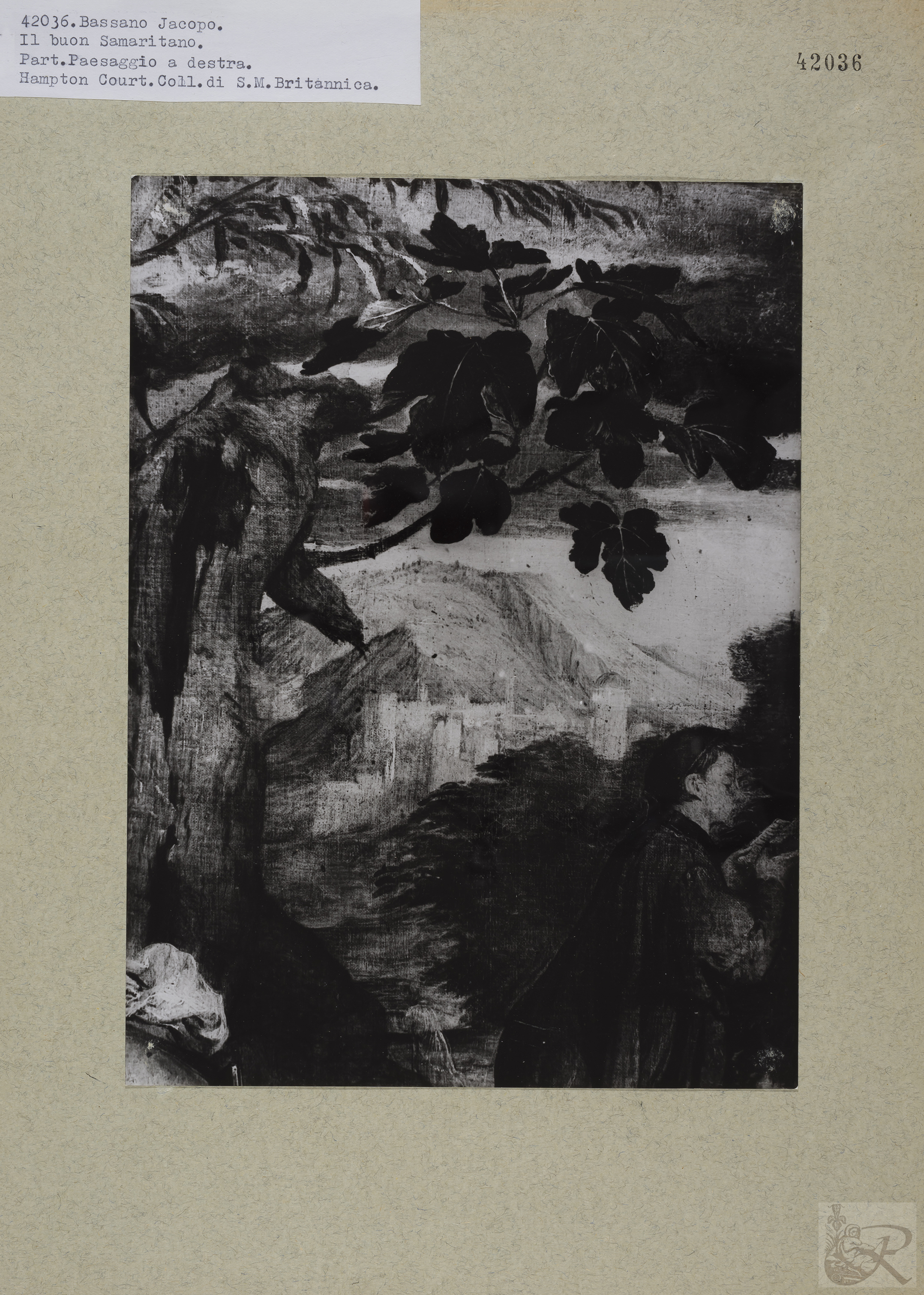 Immagine di anteprima