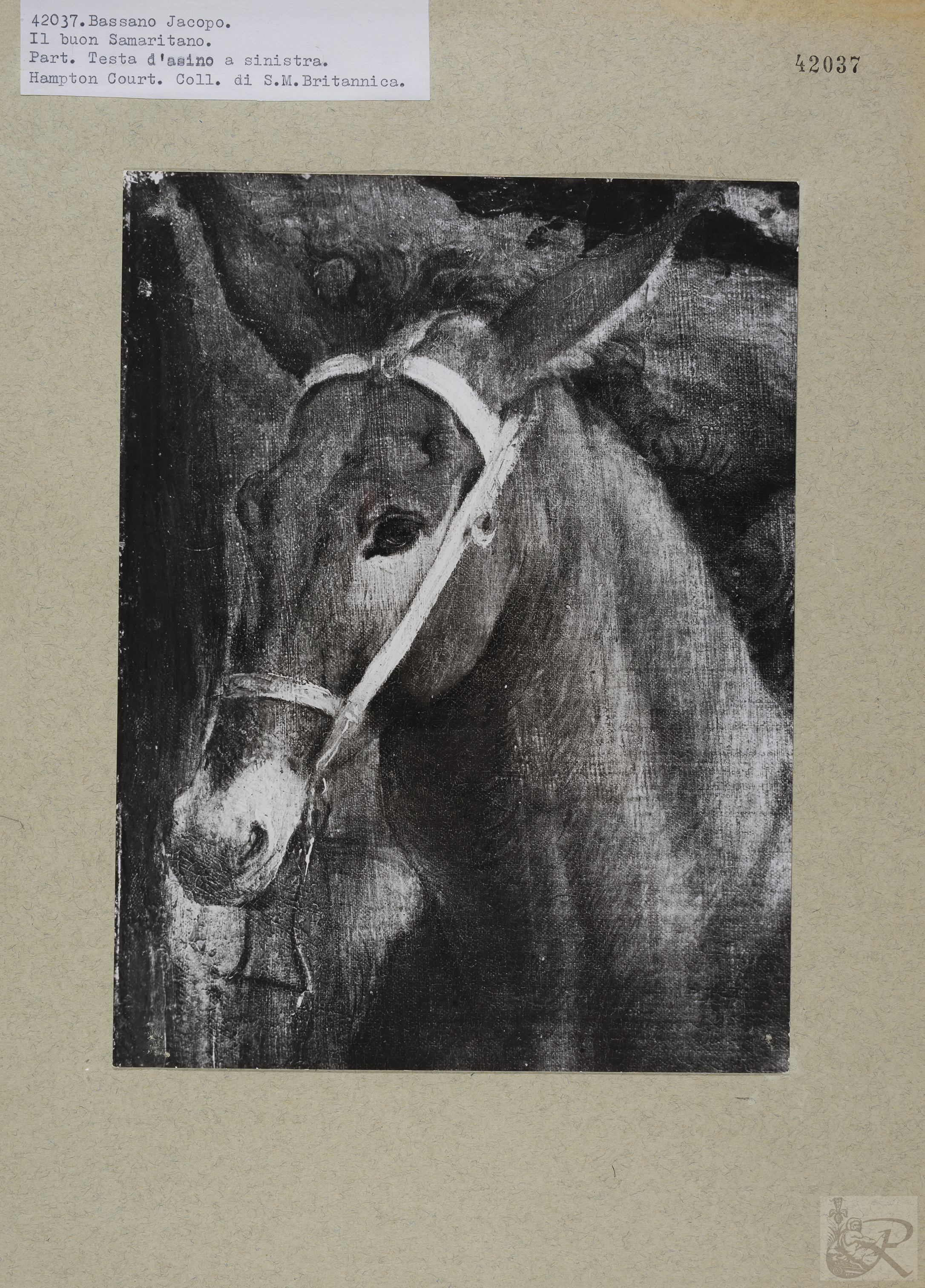 Immagine di anteprima