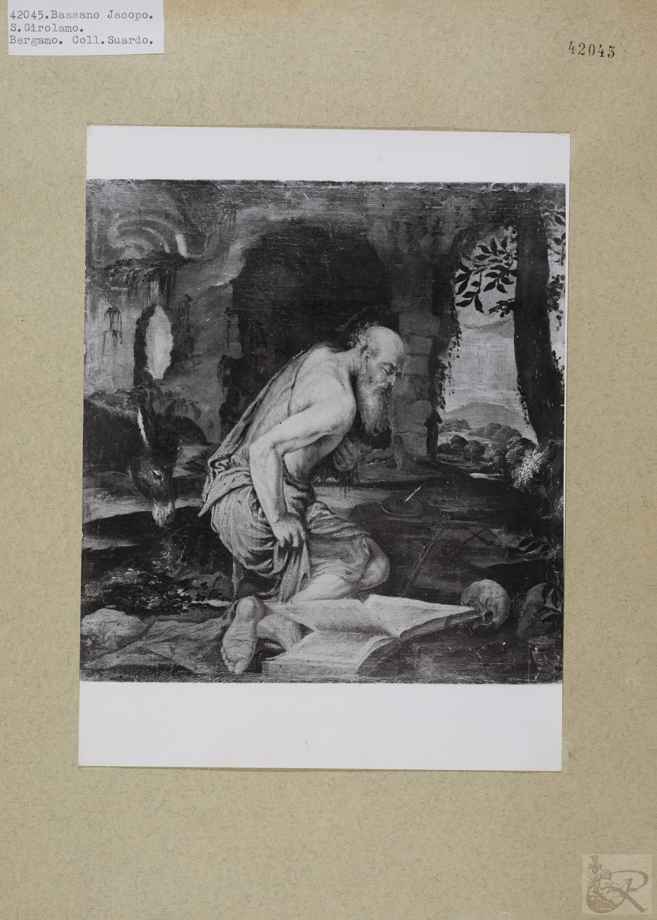 Immagine di anteprima