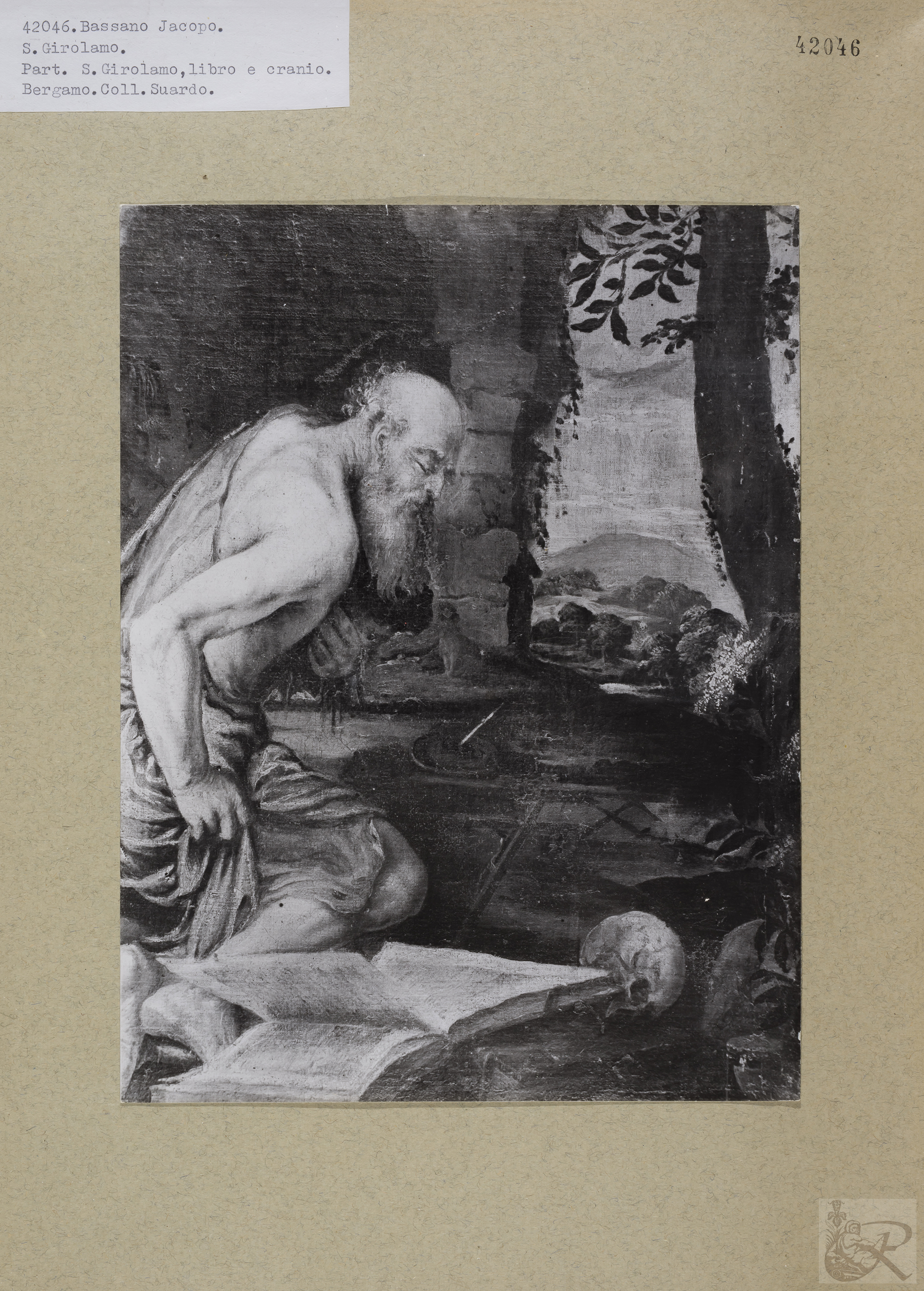 Immagine di anteprima