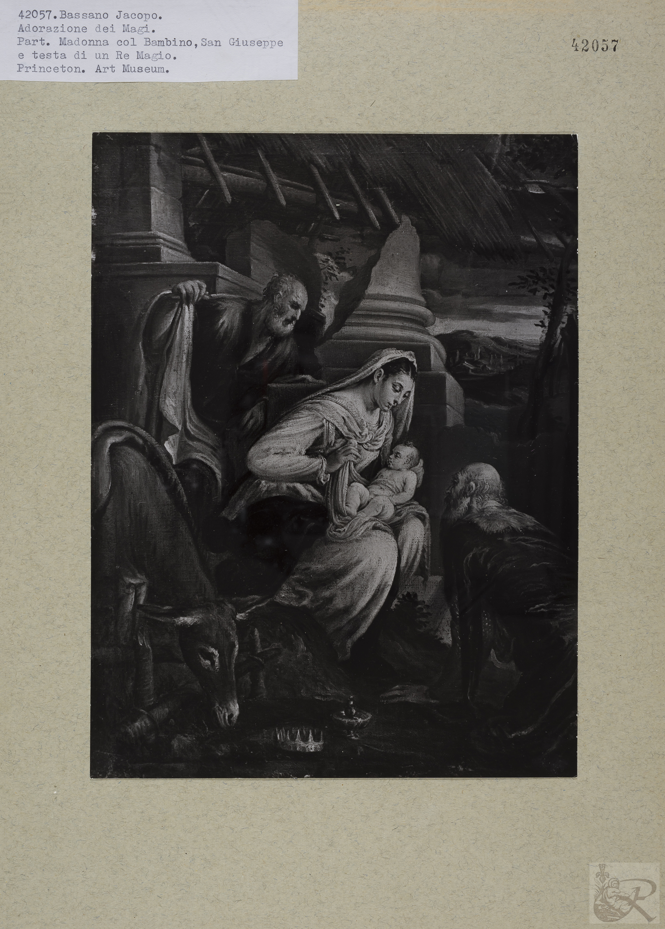 Immagine di anteprima