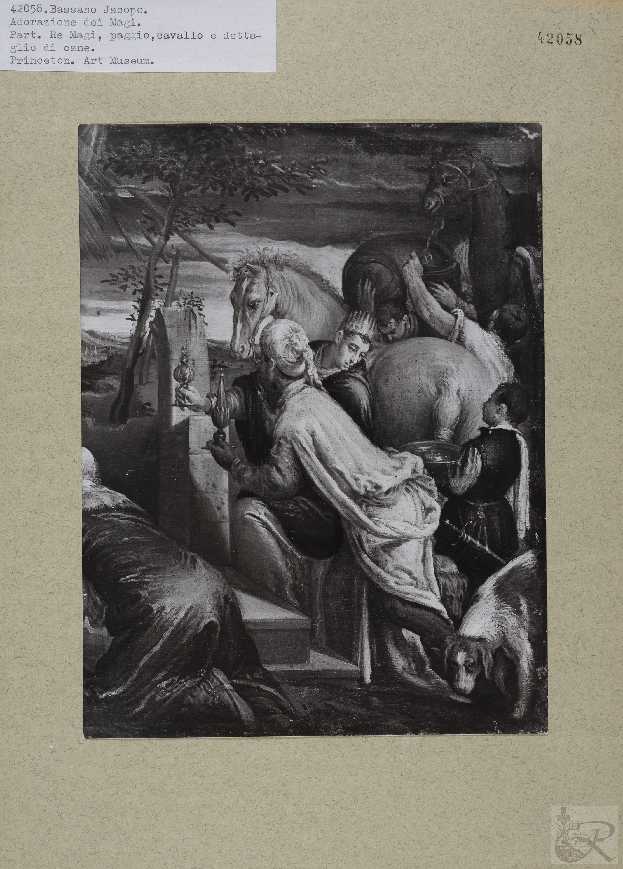 Immagine di anteprima