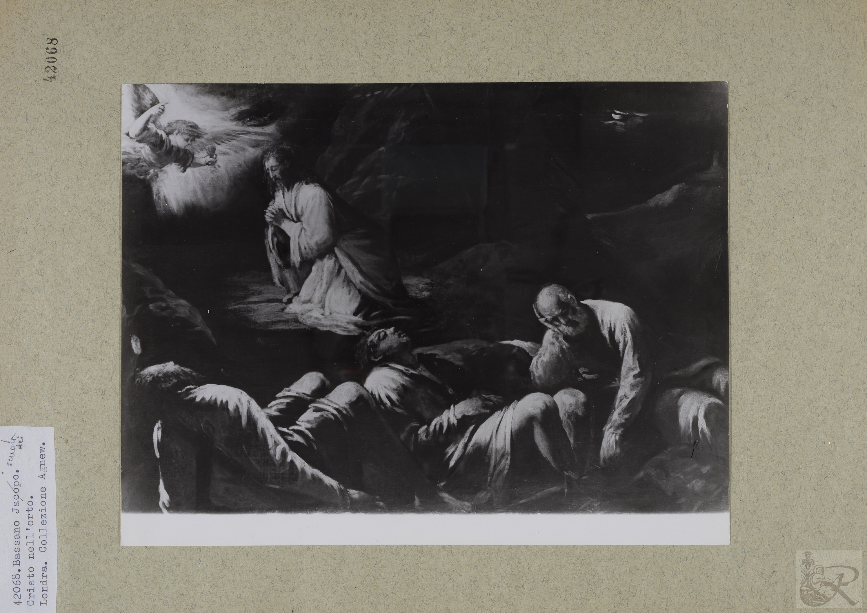 Immagine di anteprima