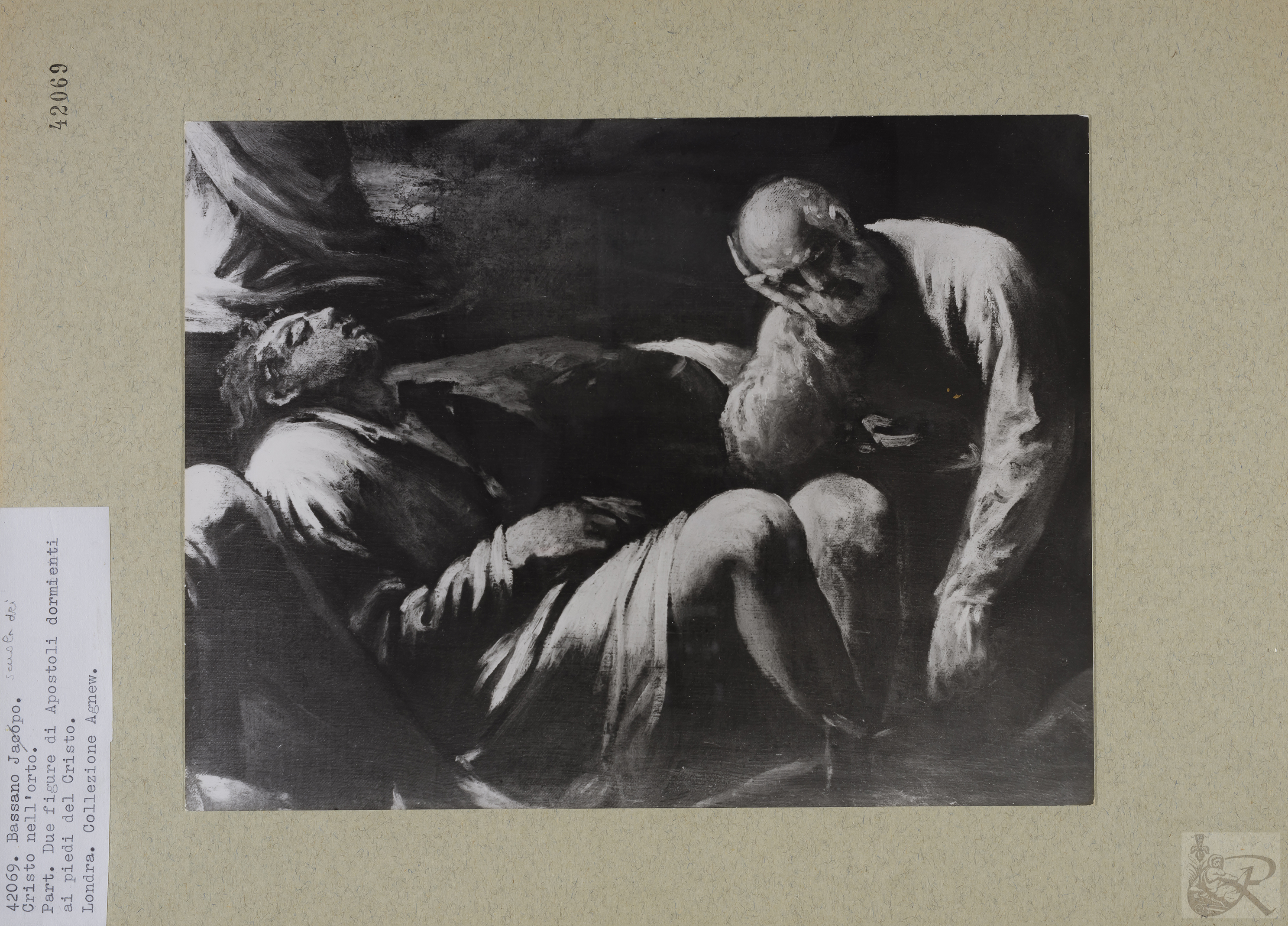 Immagine di anteprima