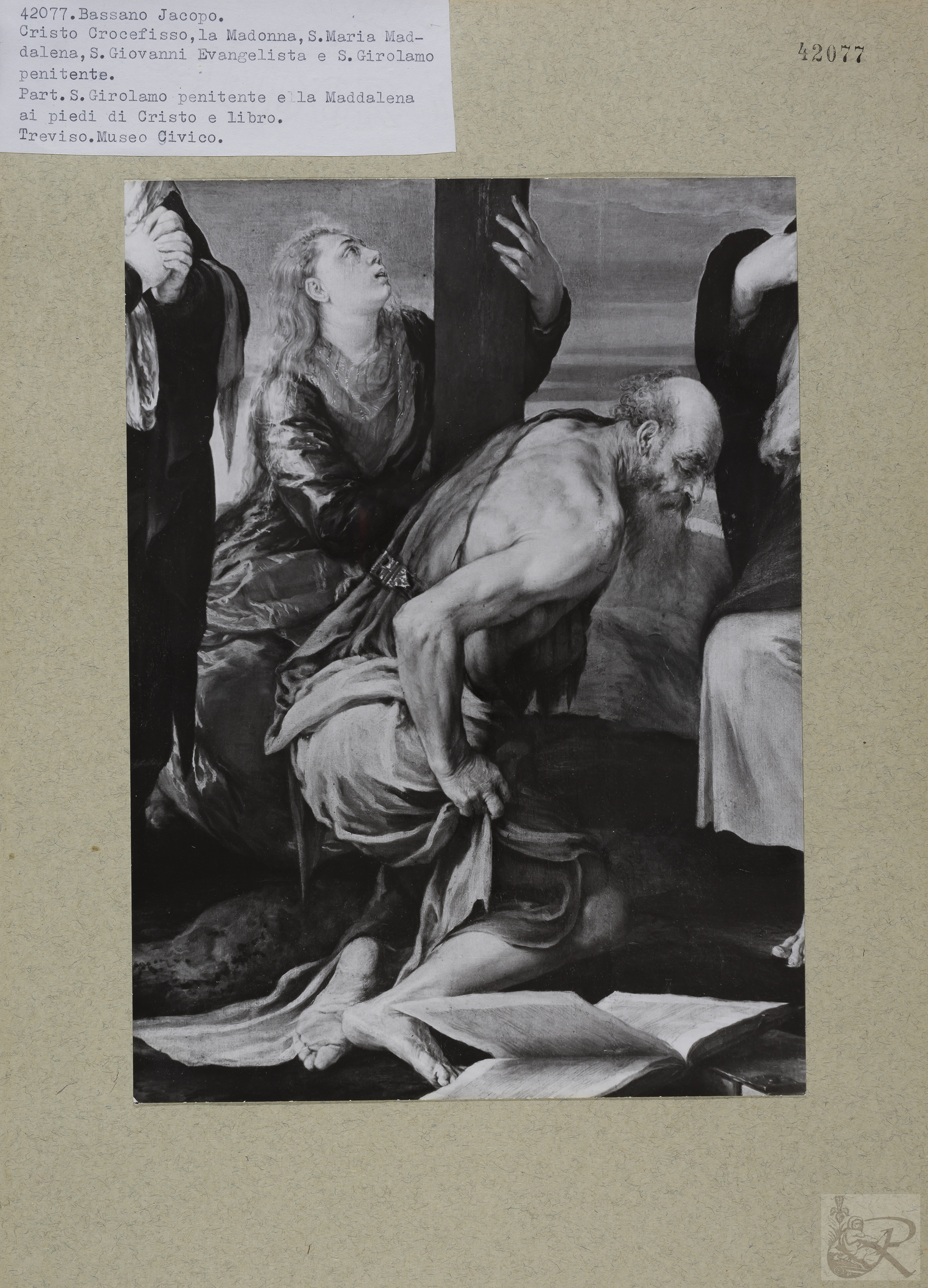 Immagine di anteprima