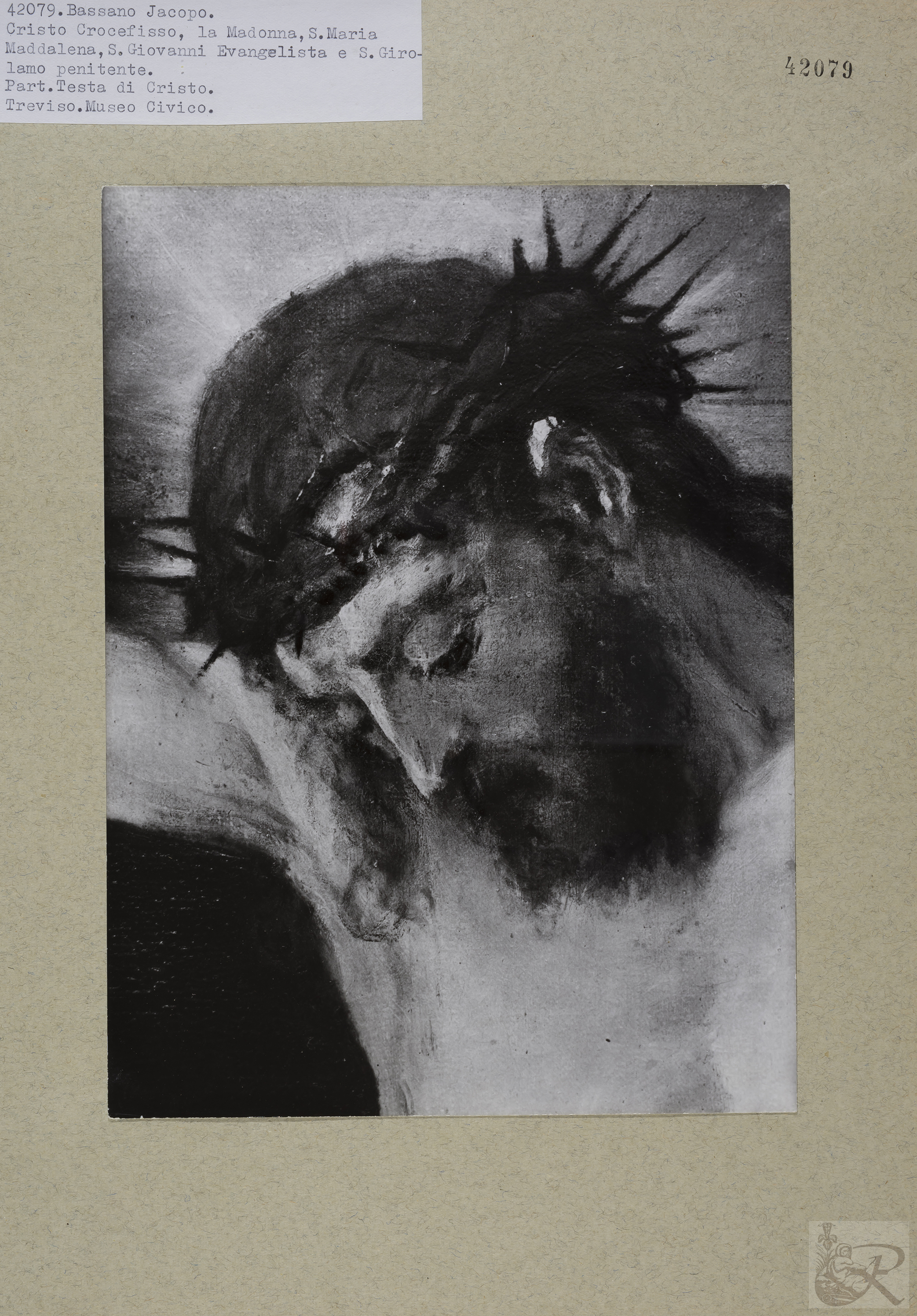 Immagine di anteprima