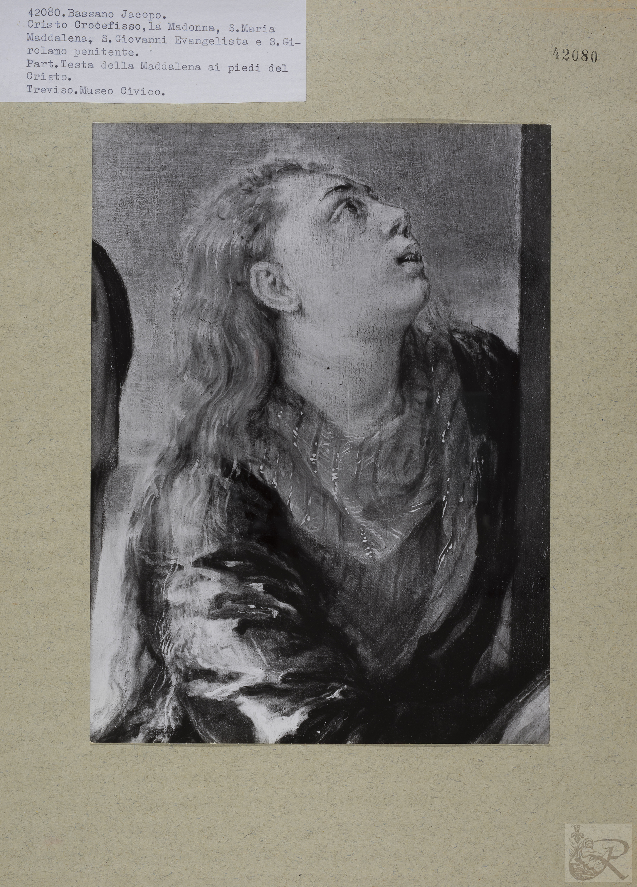 Immagine di anteprima