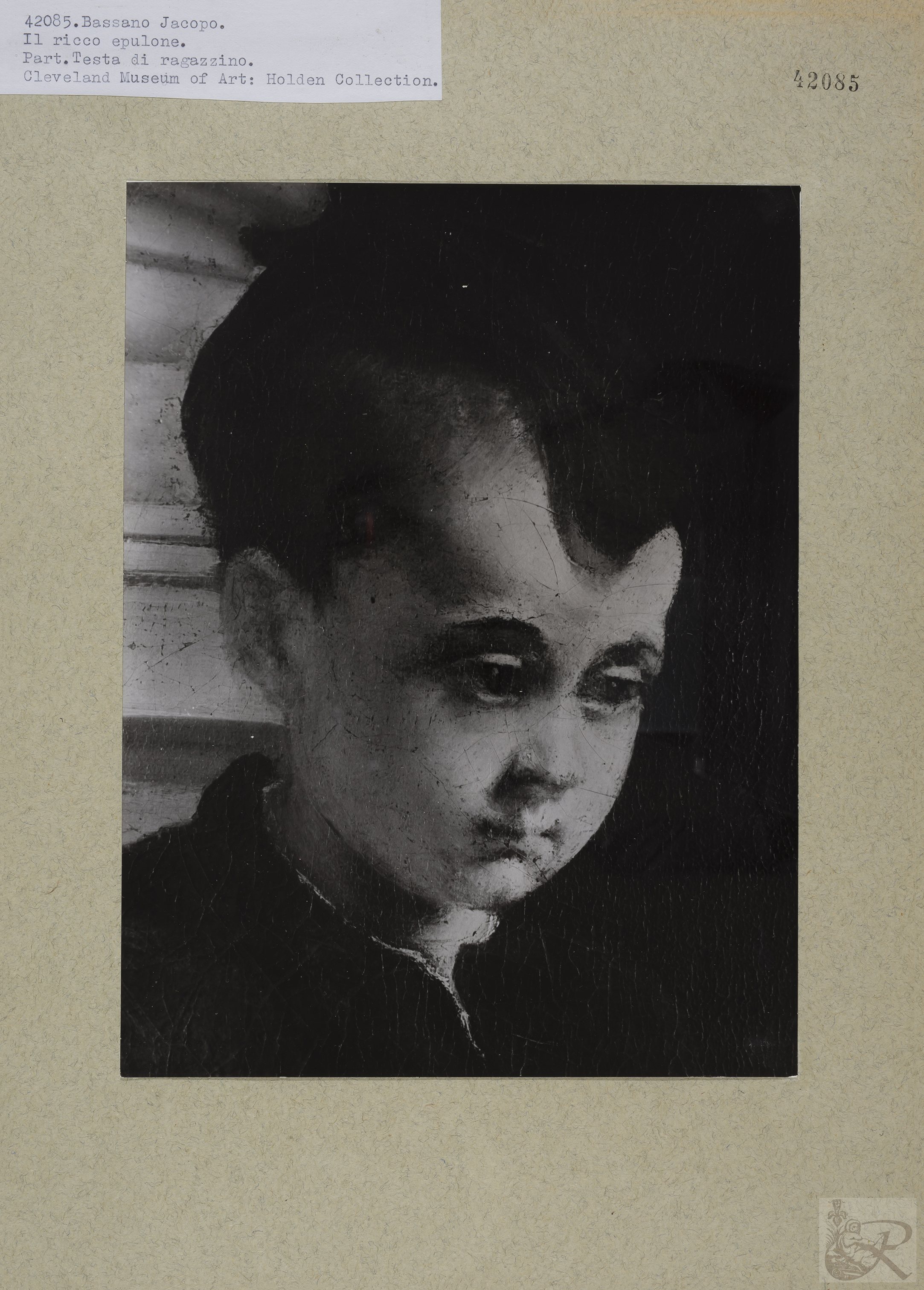 Immagine di anteprima