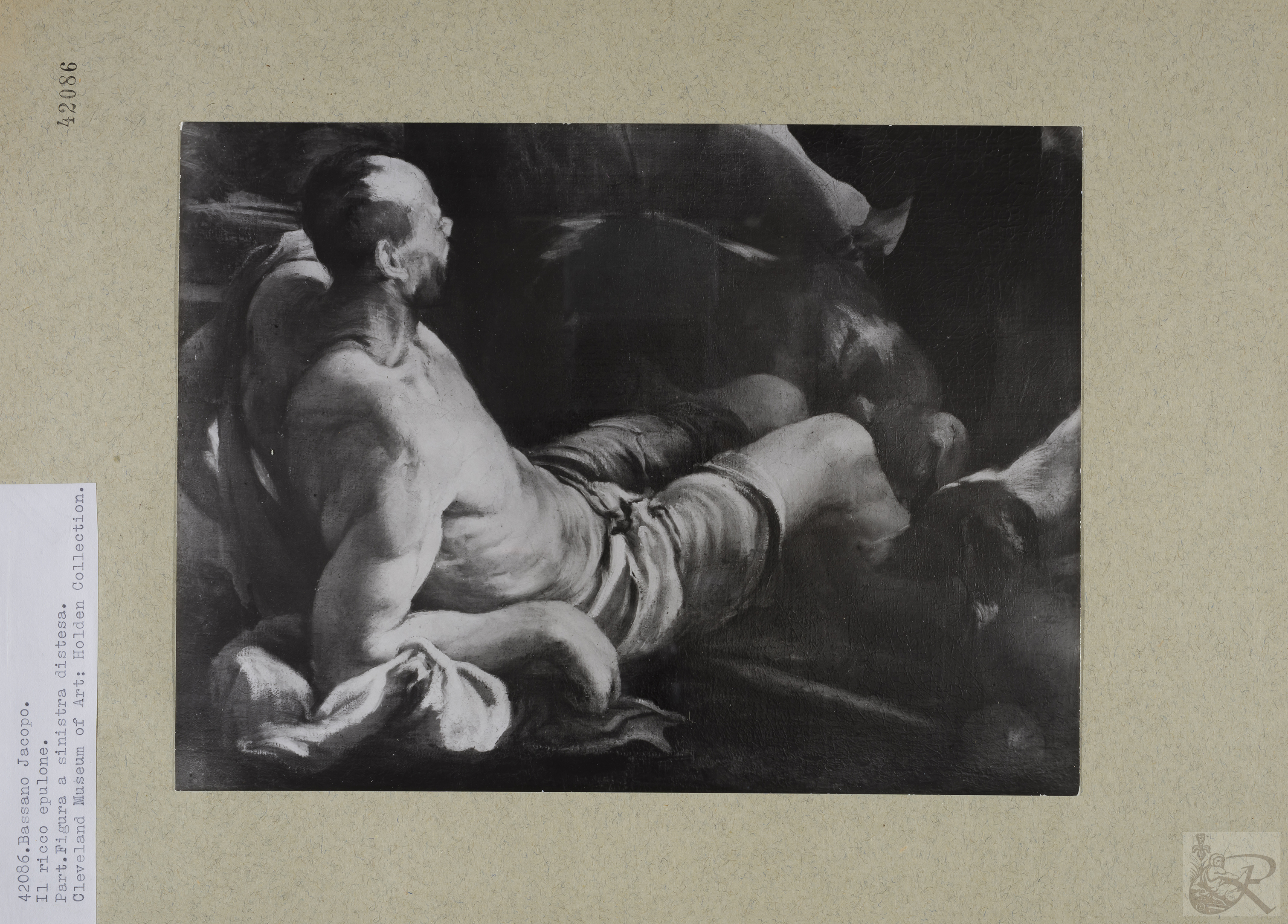 Immagine di anteprima