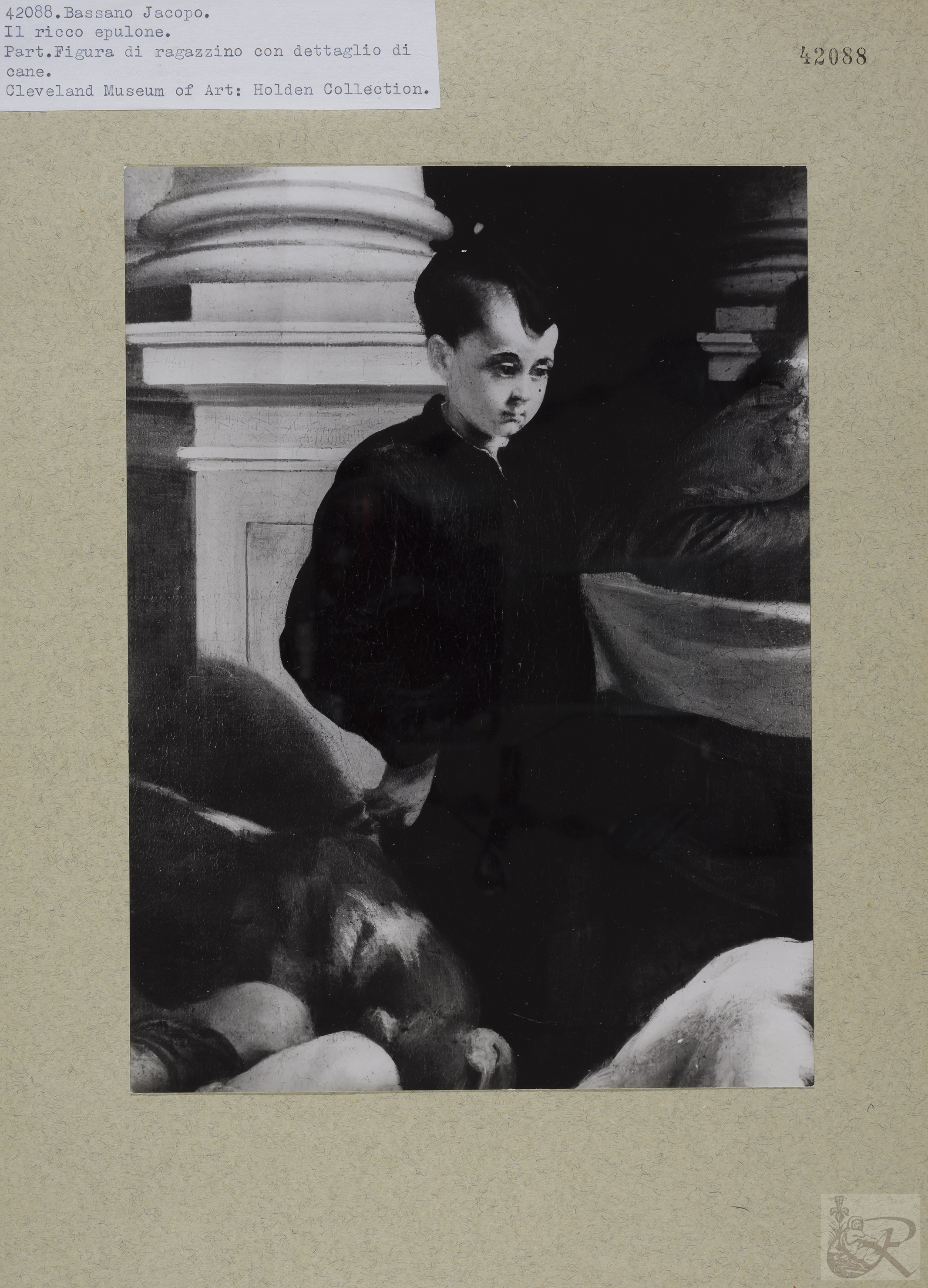 Immagine di anteprima