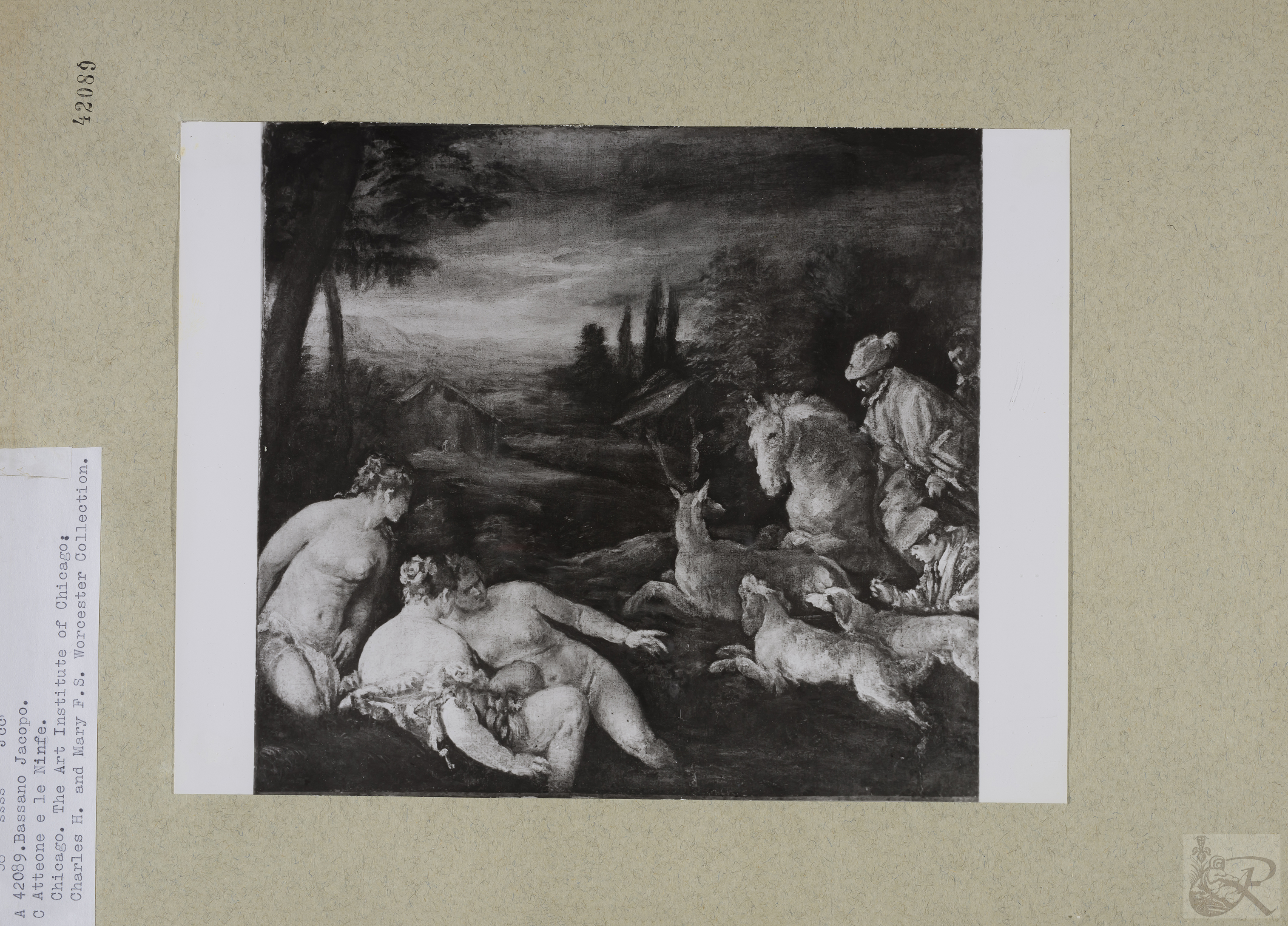 Immagine di anteprima