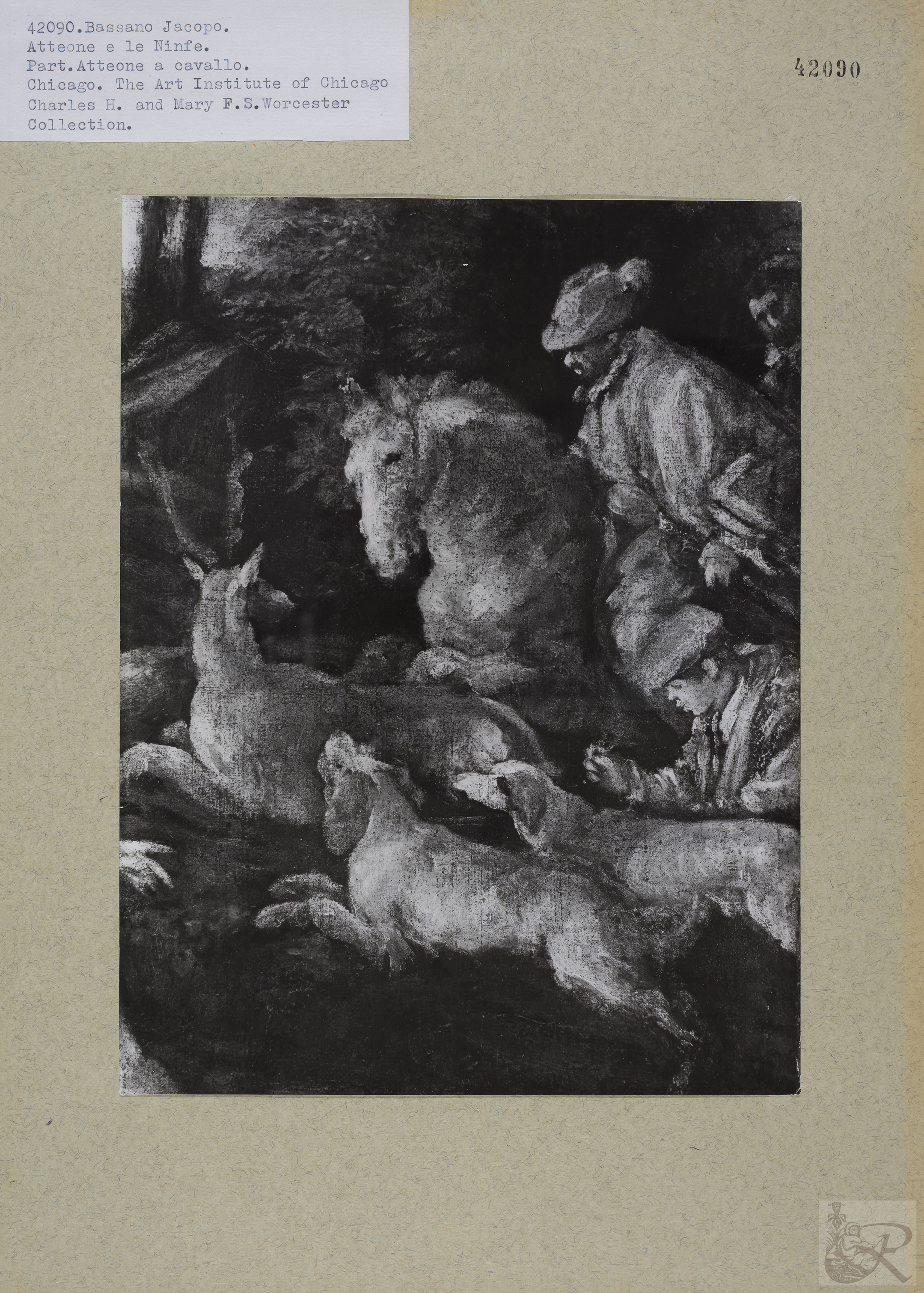 Immagine di anteprima