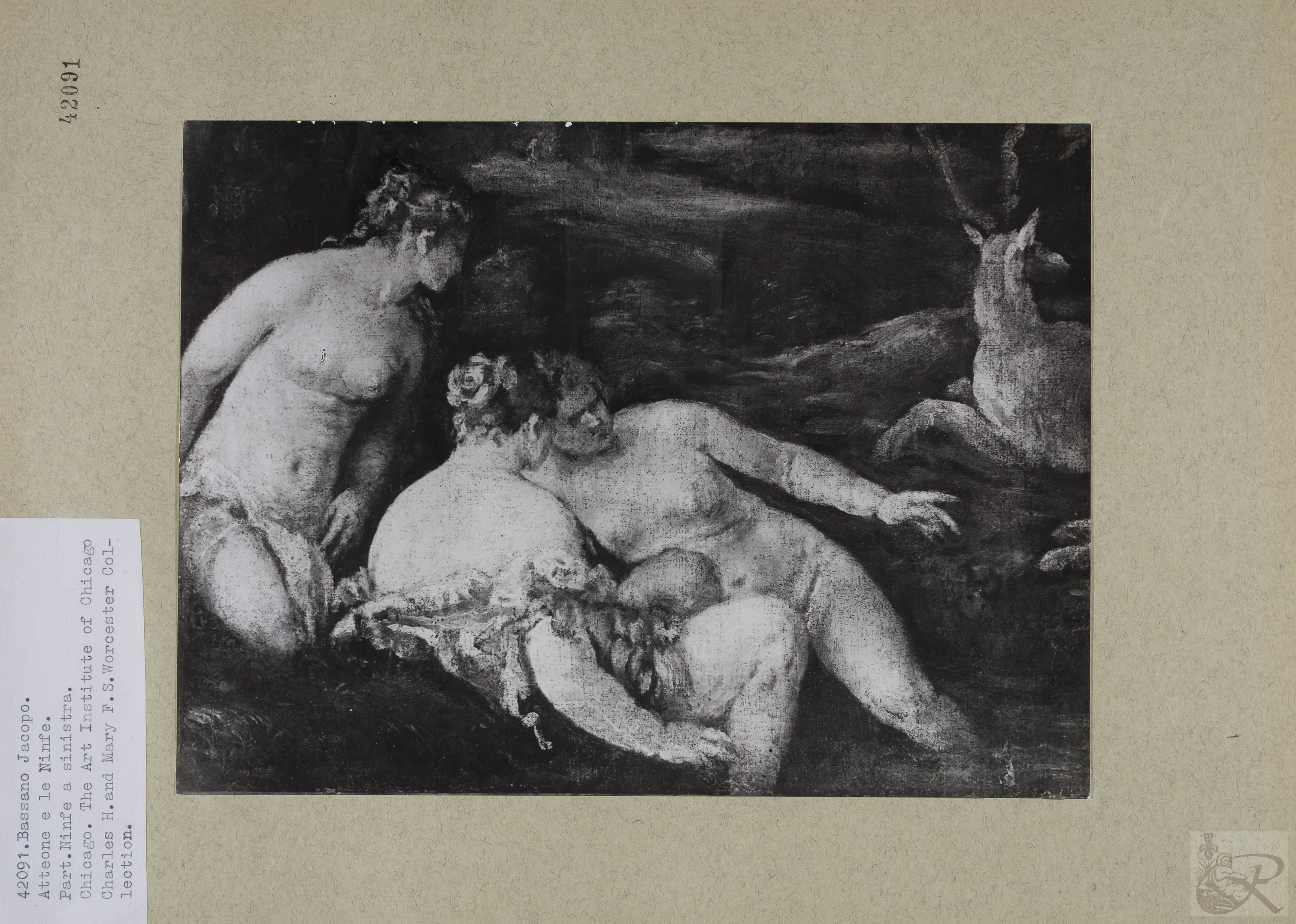 Immagine di anteprima