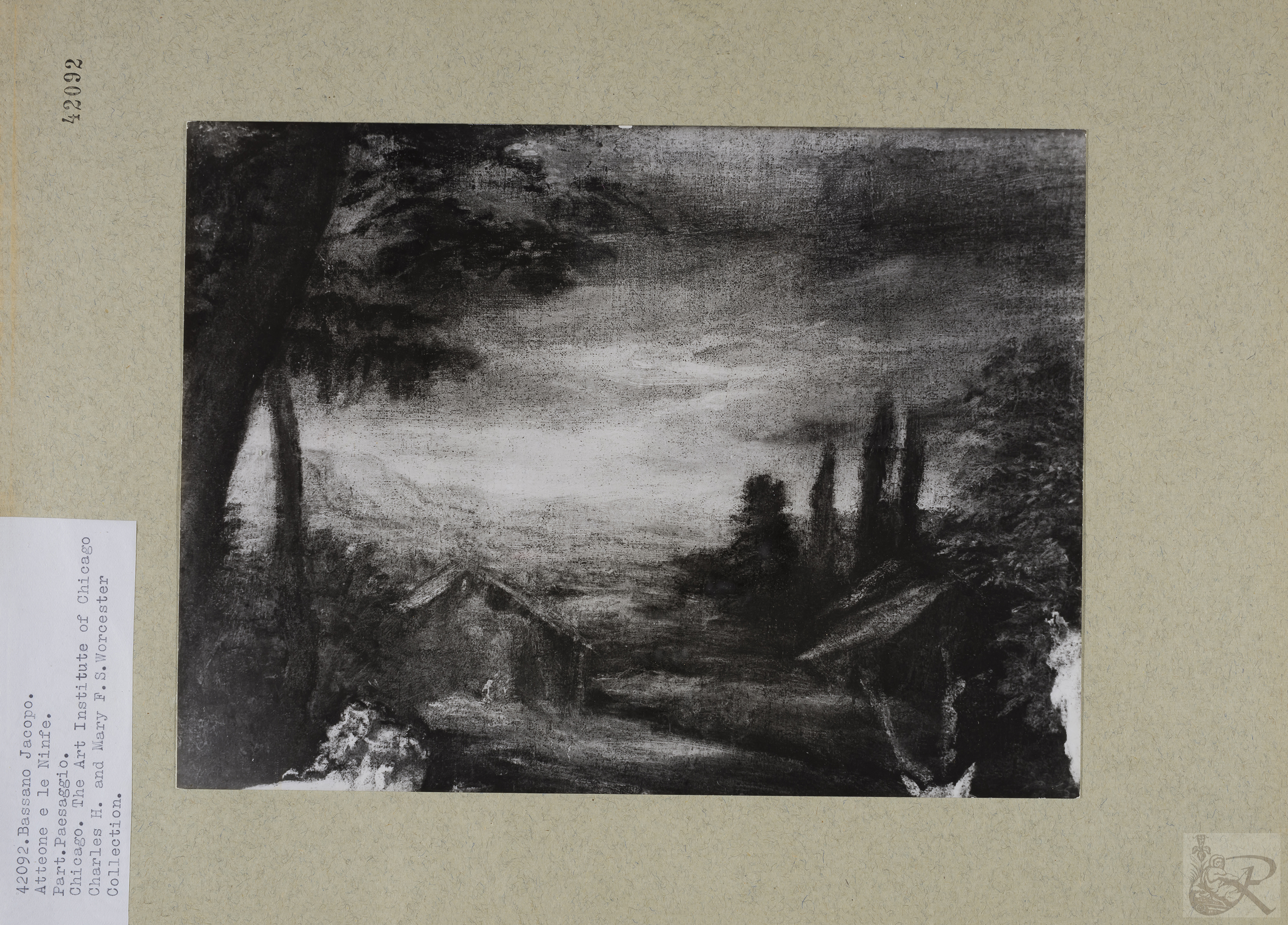 Immagine di anteprima